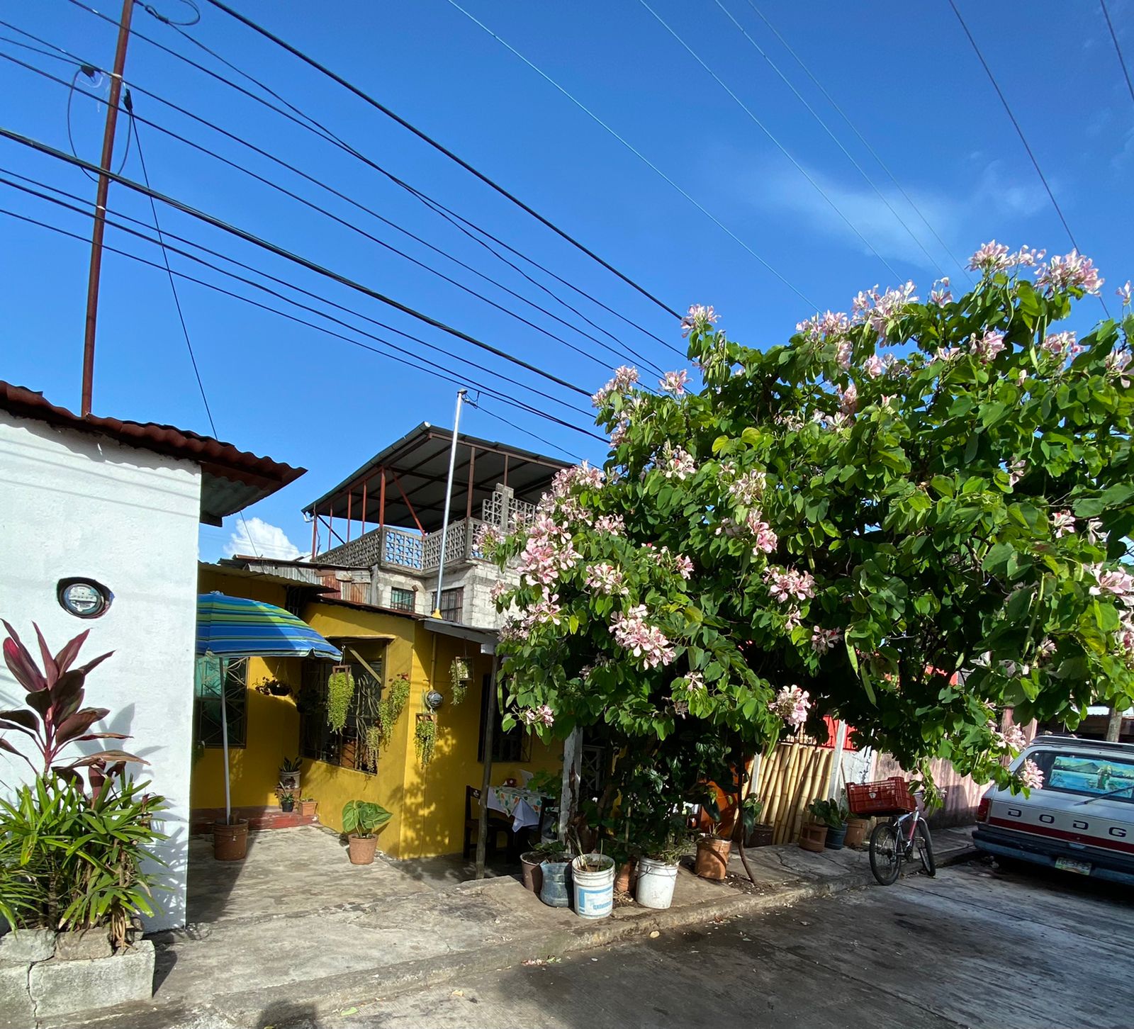 Mariscos Lagos & Mares image 10