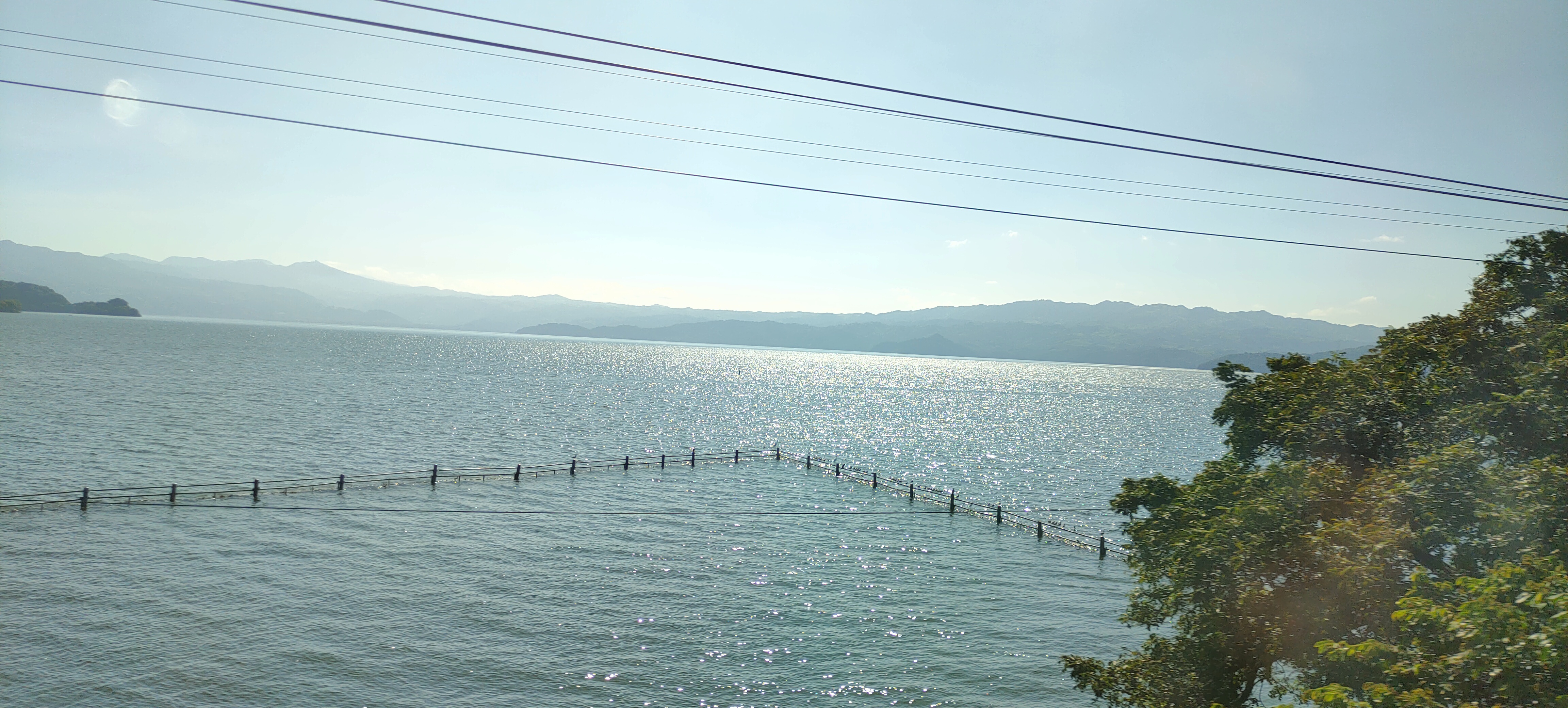 Pollos "El Huapanguero" image 3