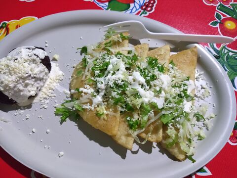 Antojitos La Casa Verde image 1