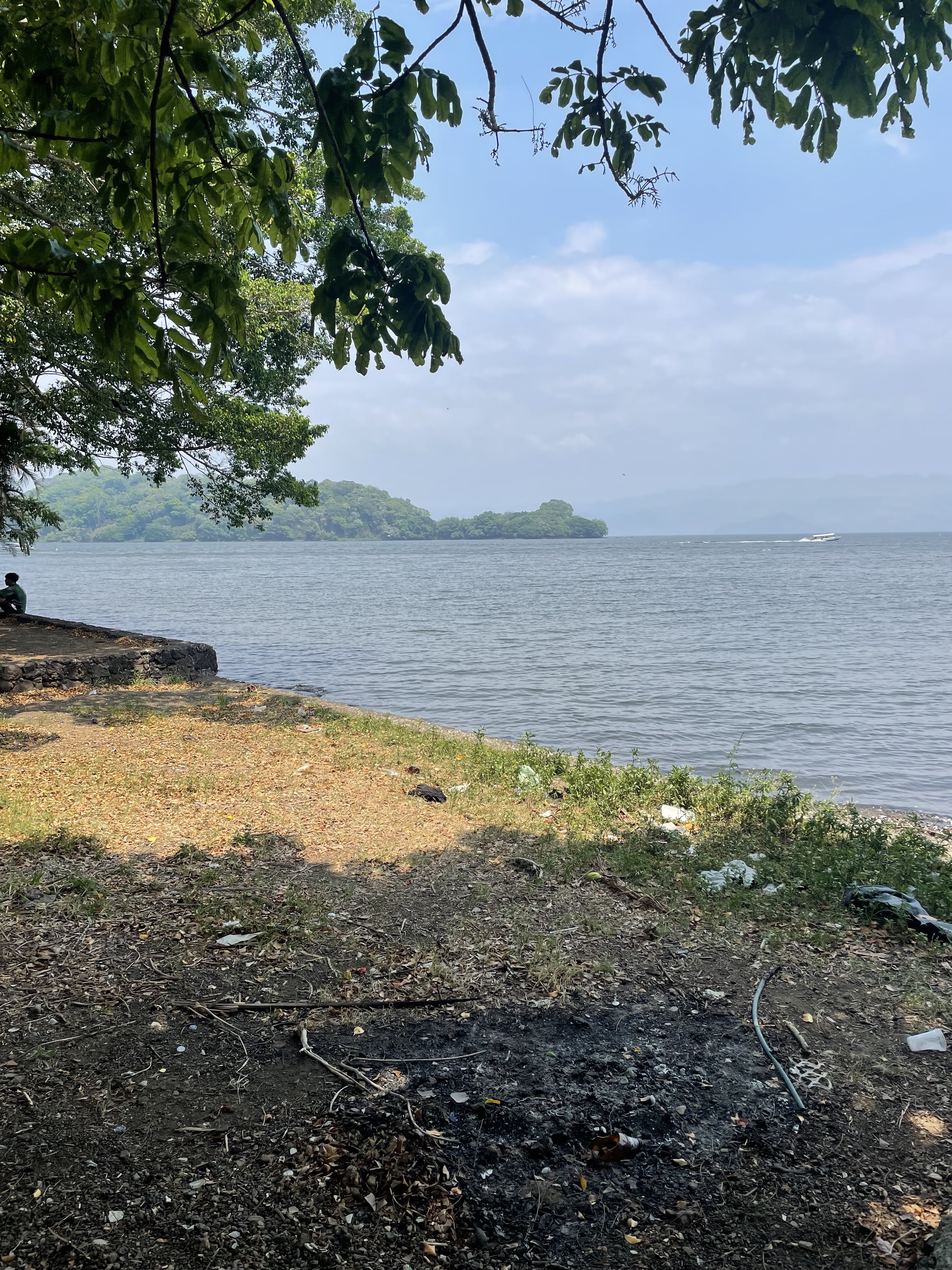 La palapa de "José" image 4