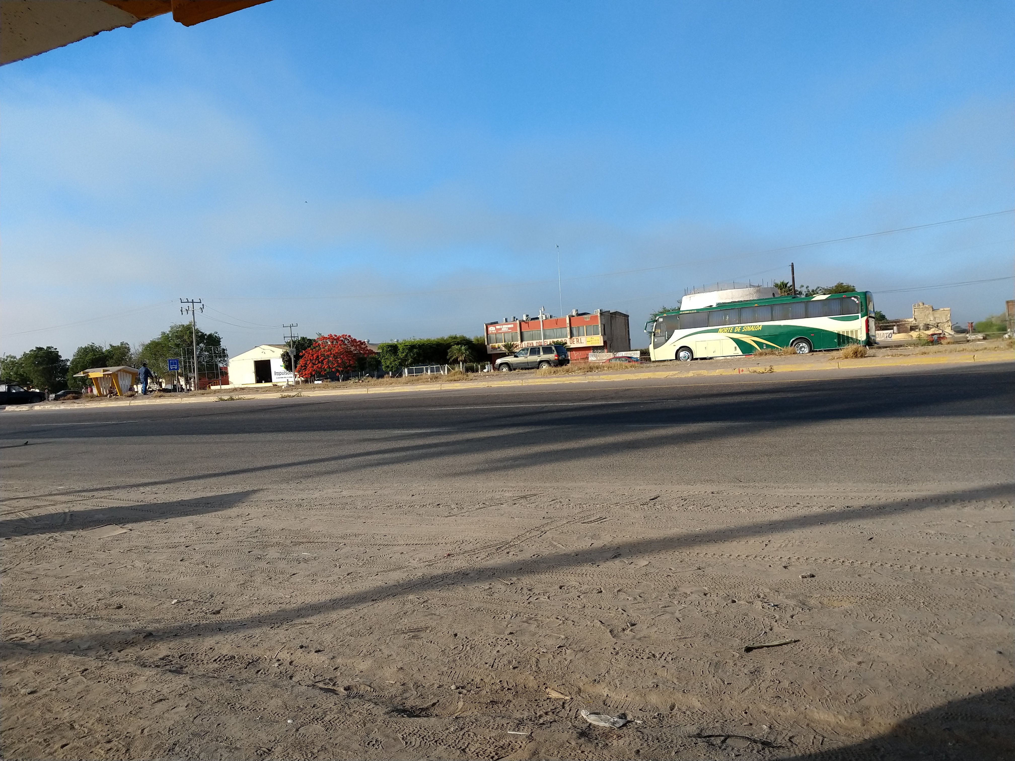 Pesacdo Al Disco Pacho image 1