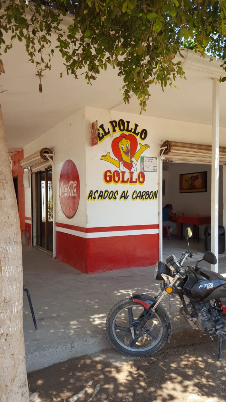 Pollo Gollo image 1