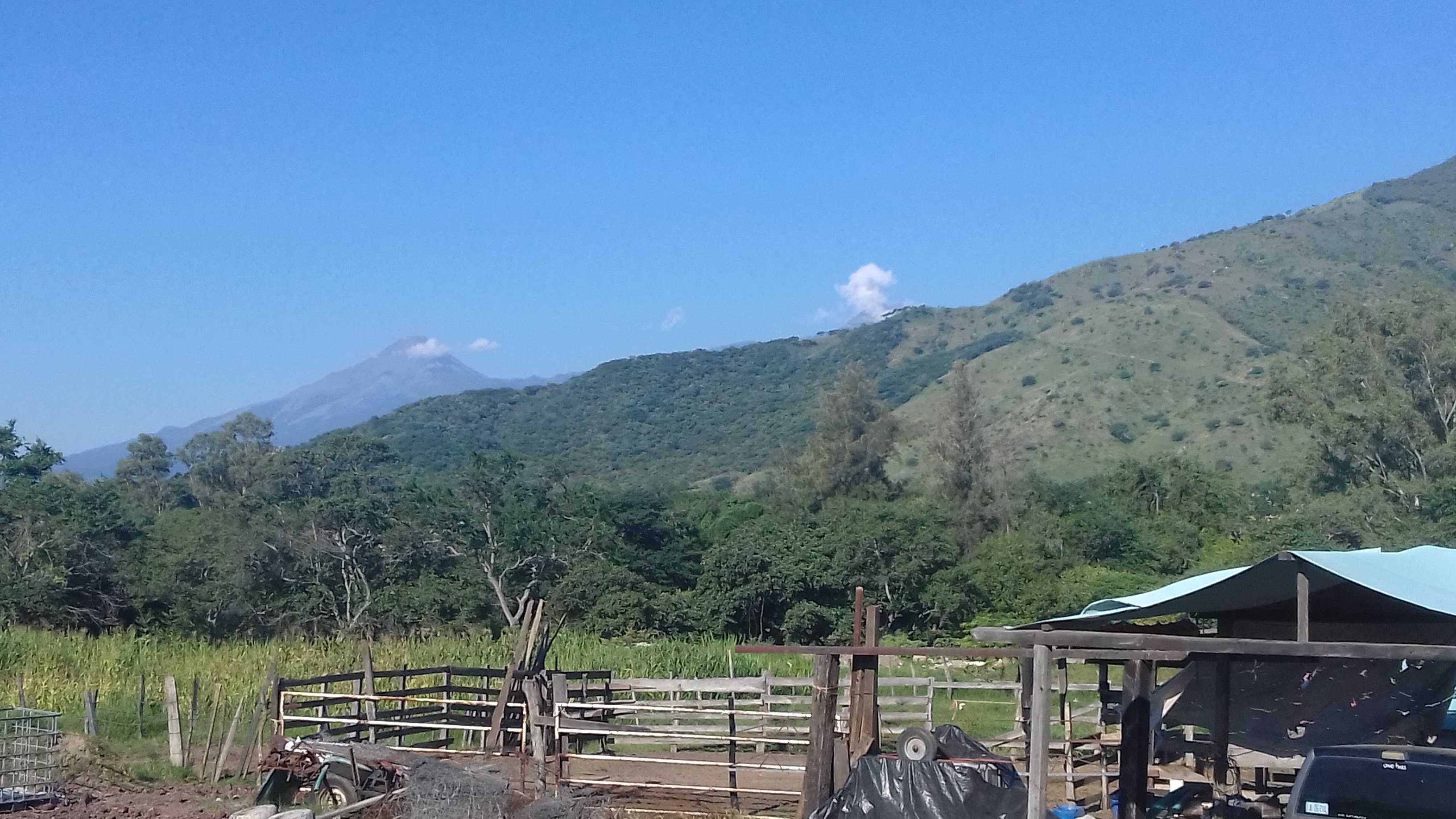 Tacos de la Estación Doña Delia image 3