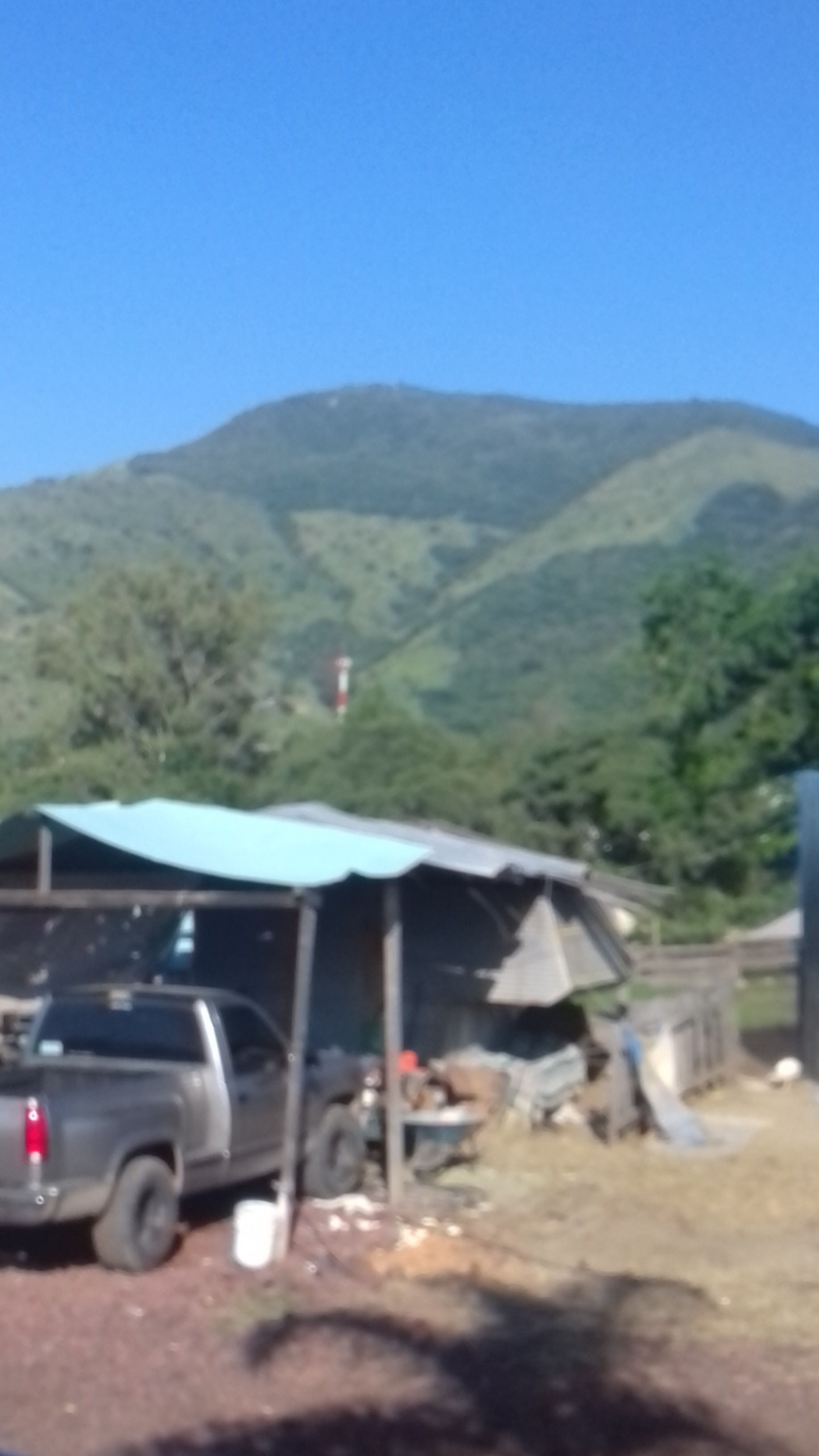Tacos de la Estación Doña Delia image 8