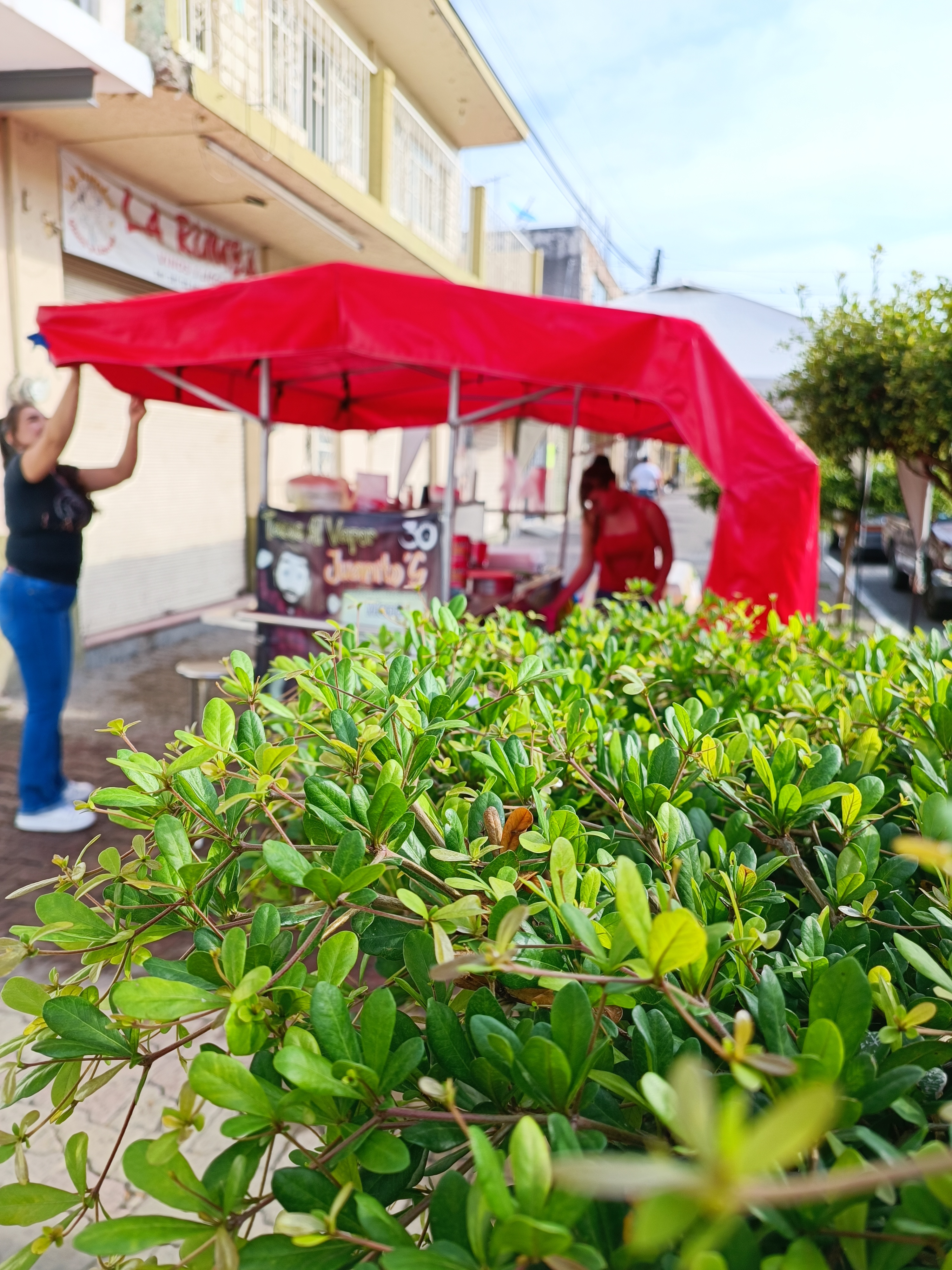 Tacos Al Vapor Juanito´S 1 image 5