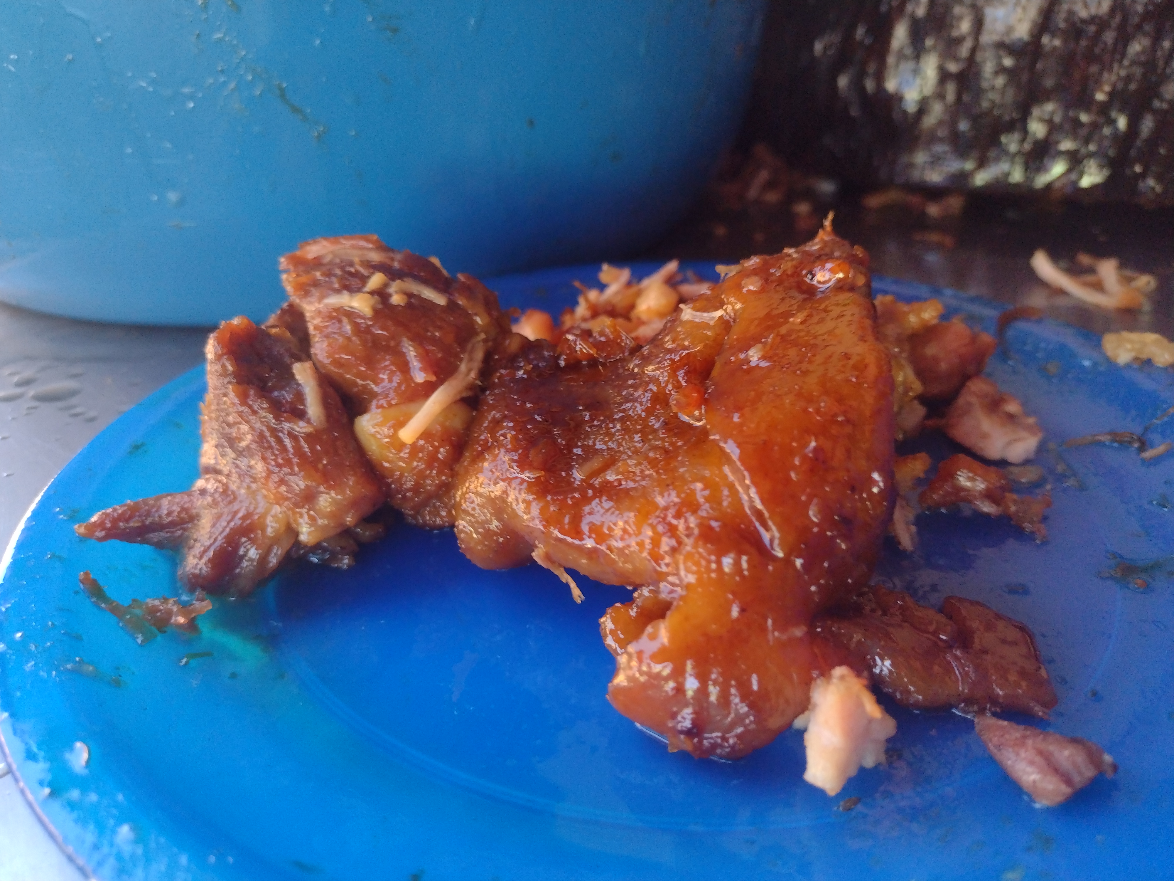 Carnitas Guille M Dieguez image 2