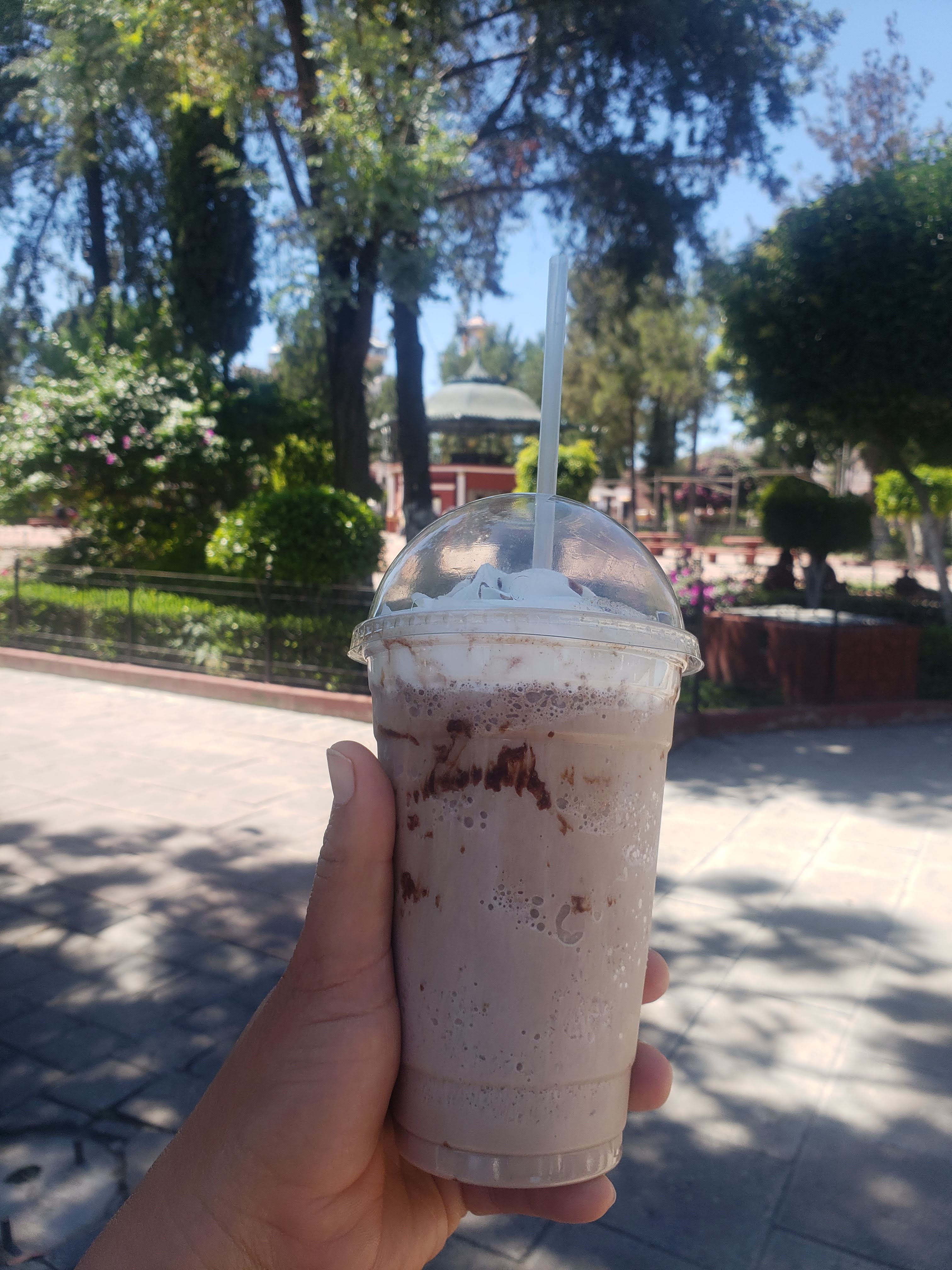 Café Colibrí image 5