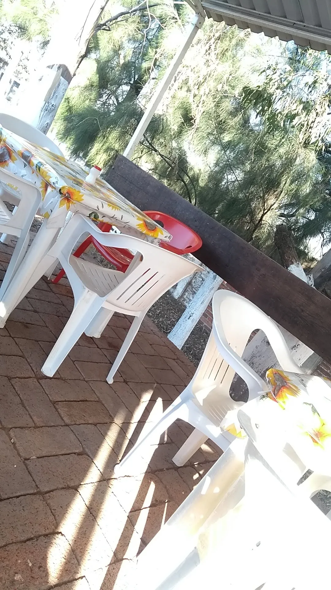 Cocina Económica Elvia image 9