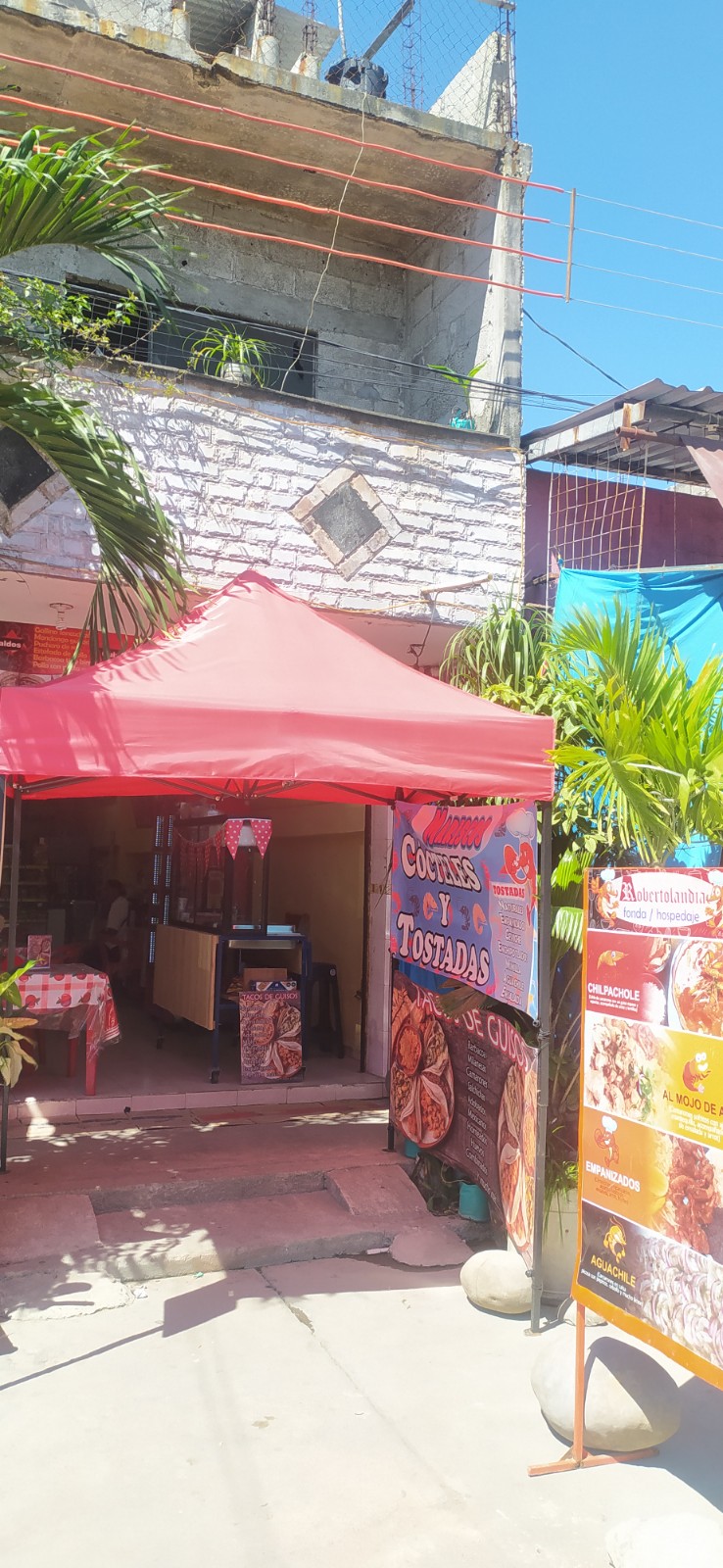 Robertolandia image 1