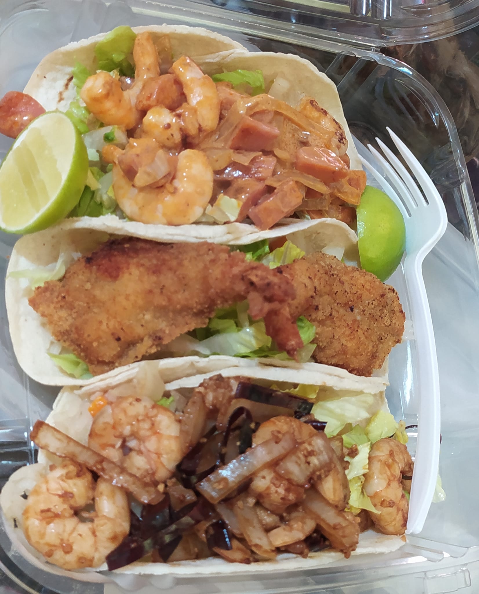 Robertolandia image 2