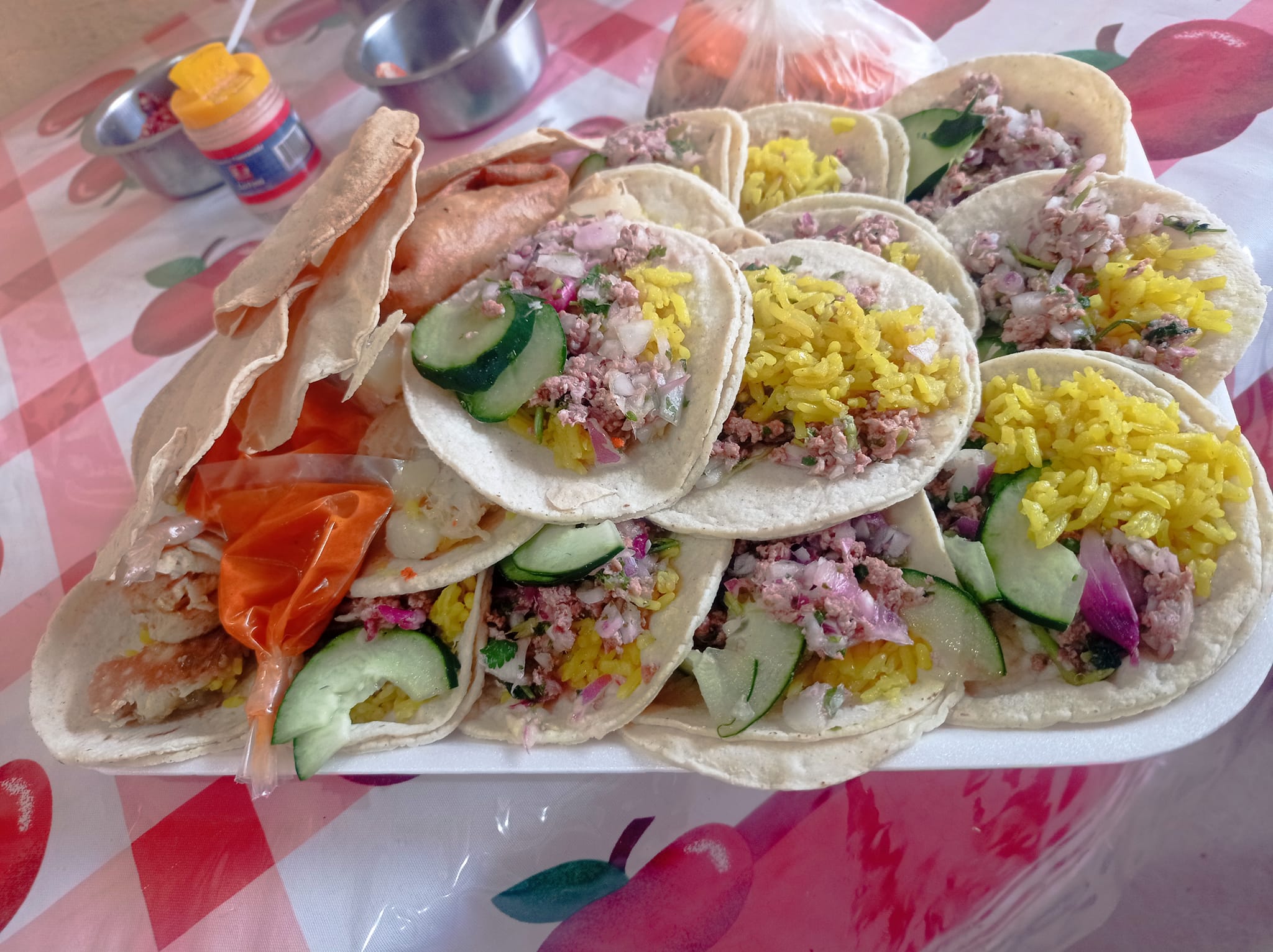 Robertolandia image 4