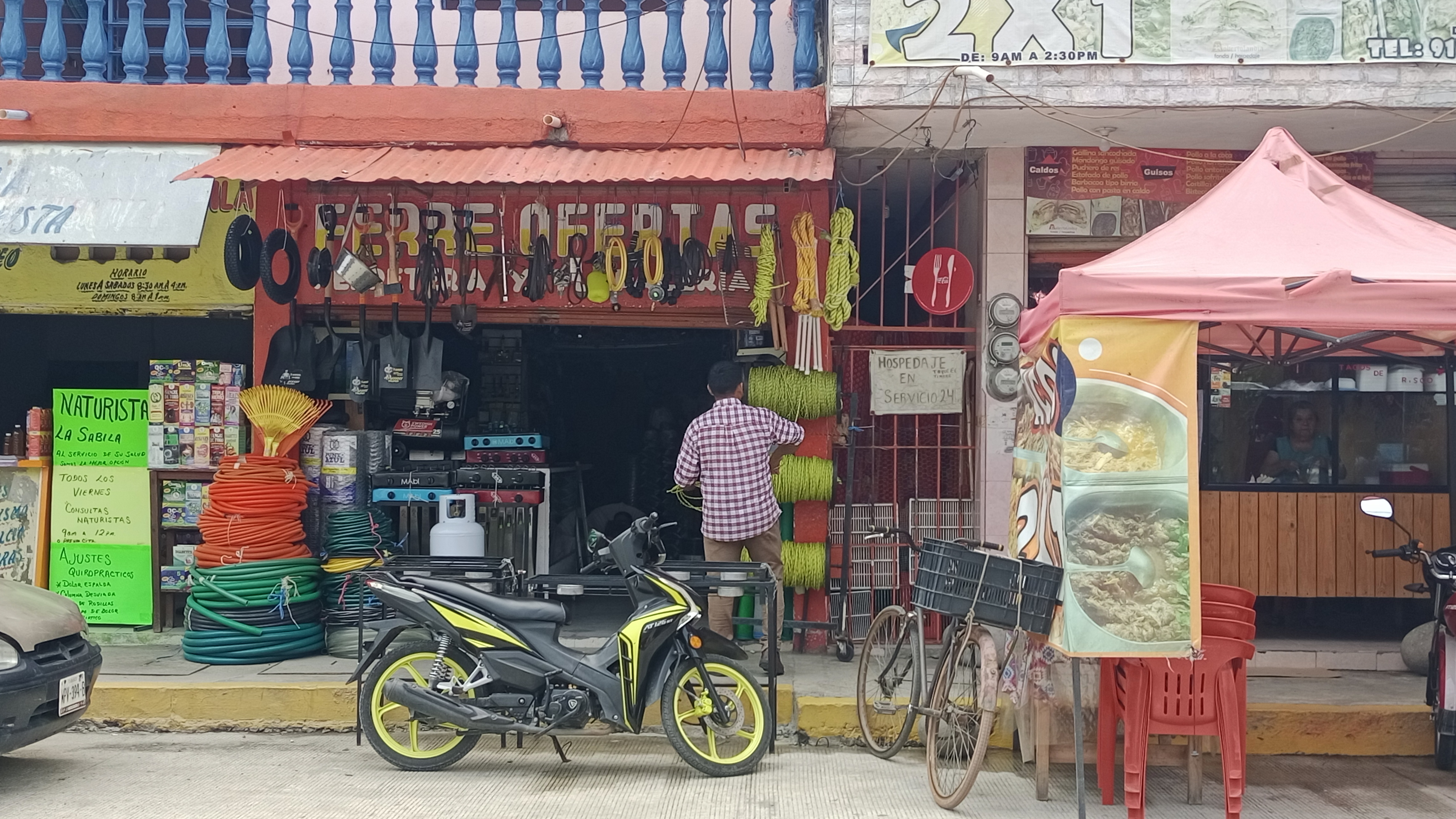 Robertolandia image 5