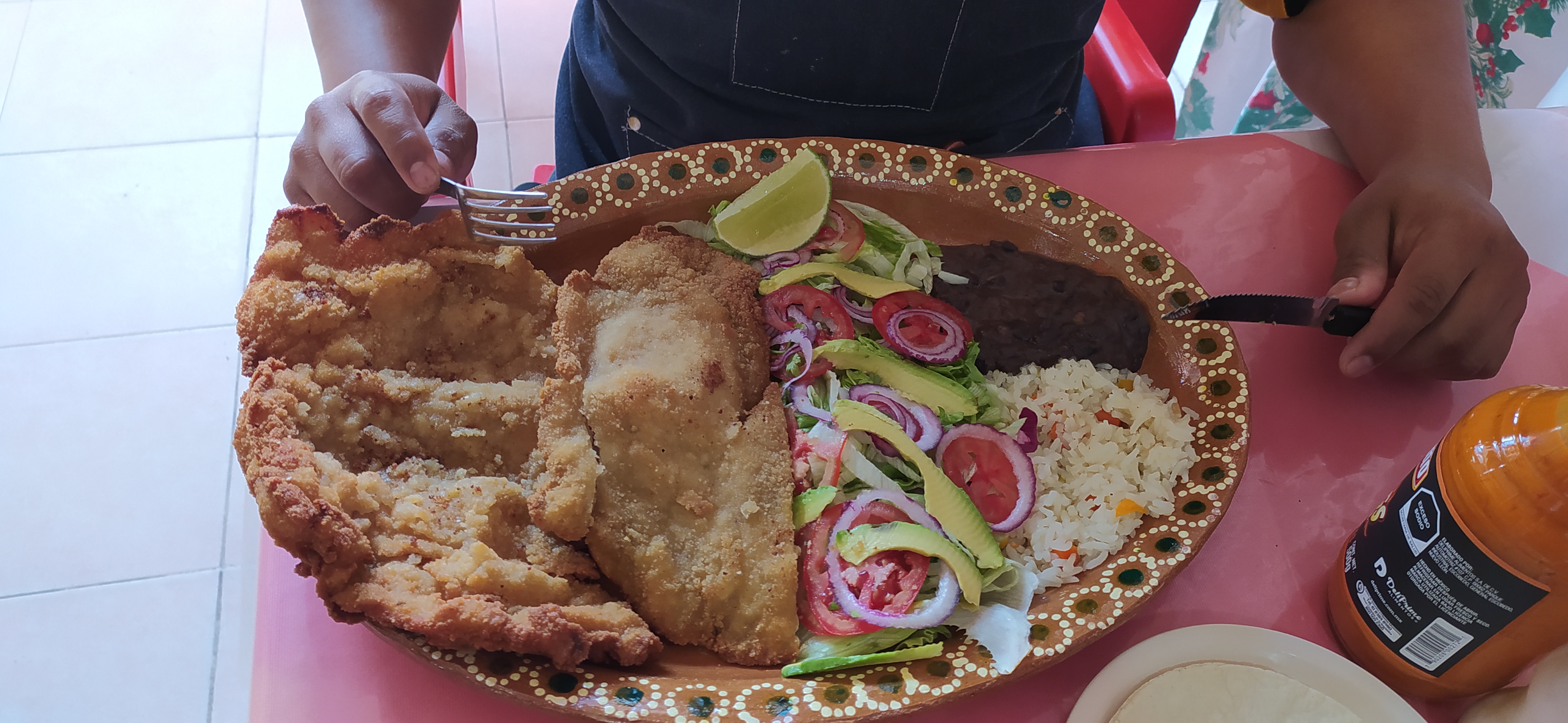 Robertolandia image 6