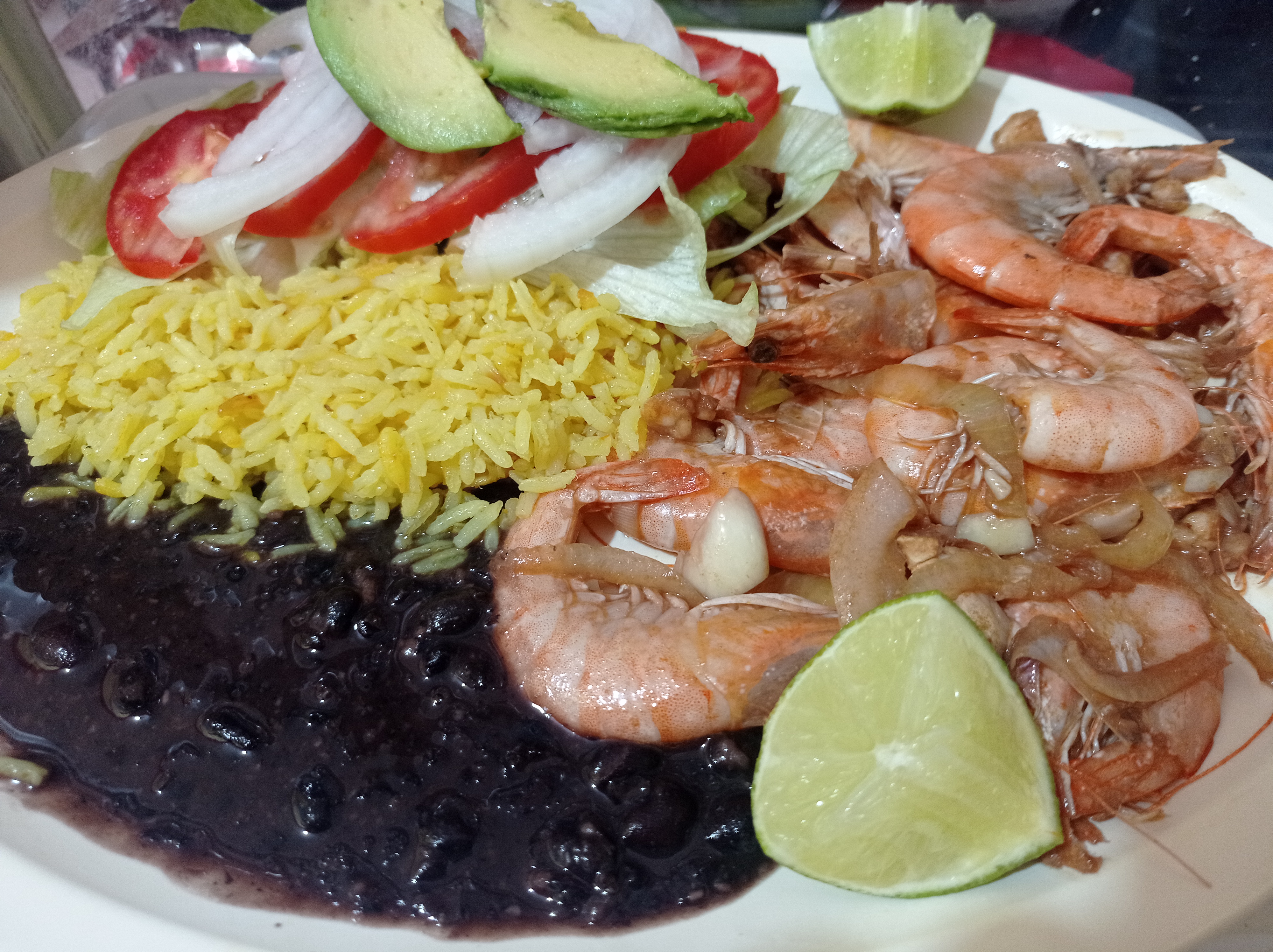 Robertolandia image 9