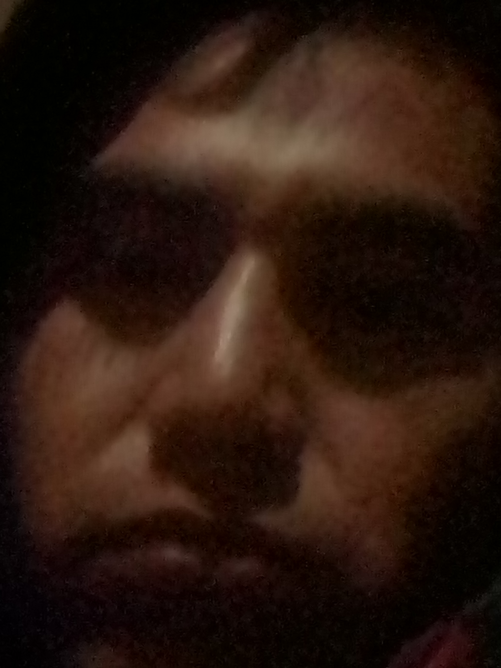 Tacos y semitas image 1