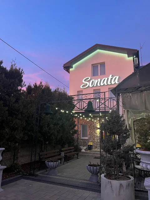 Sonata image 2