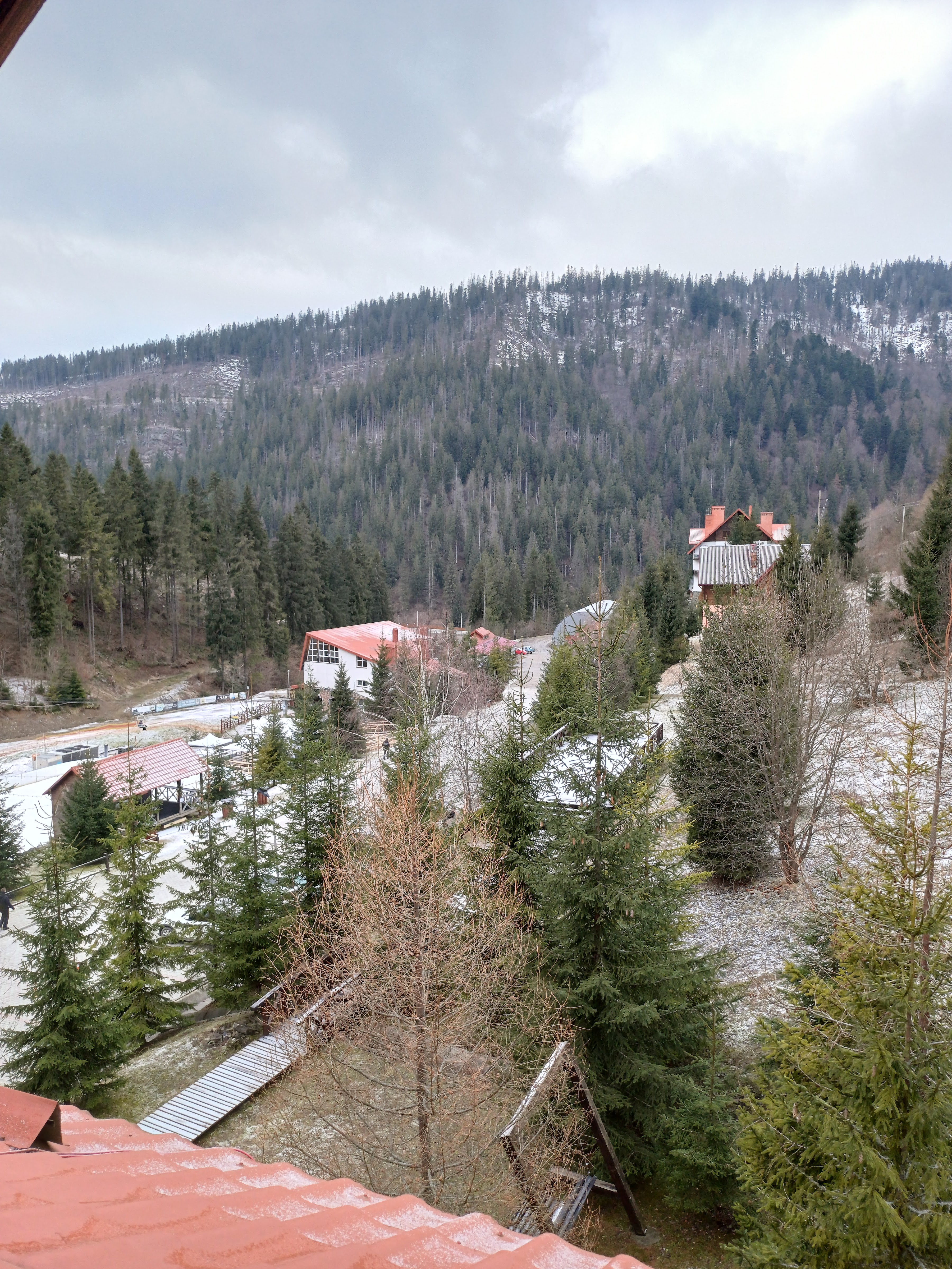 Restoran "Zakhar Berkut" image 8