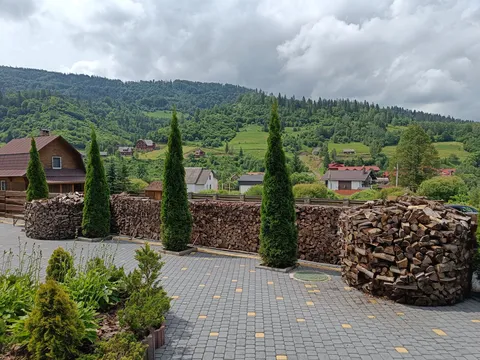 Shale Filʹvarok image 6