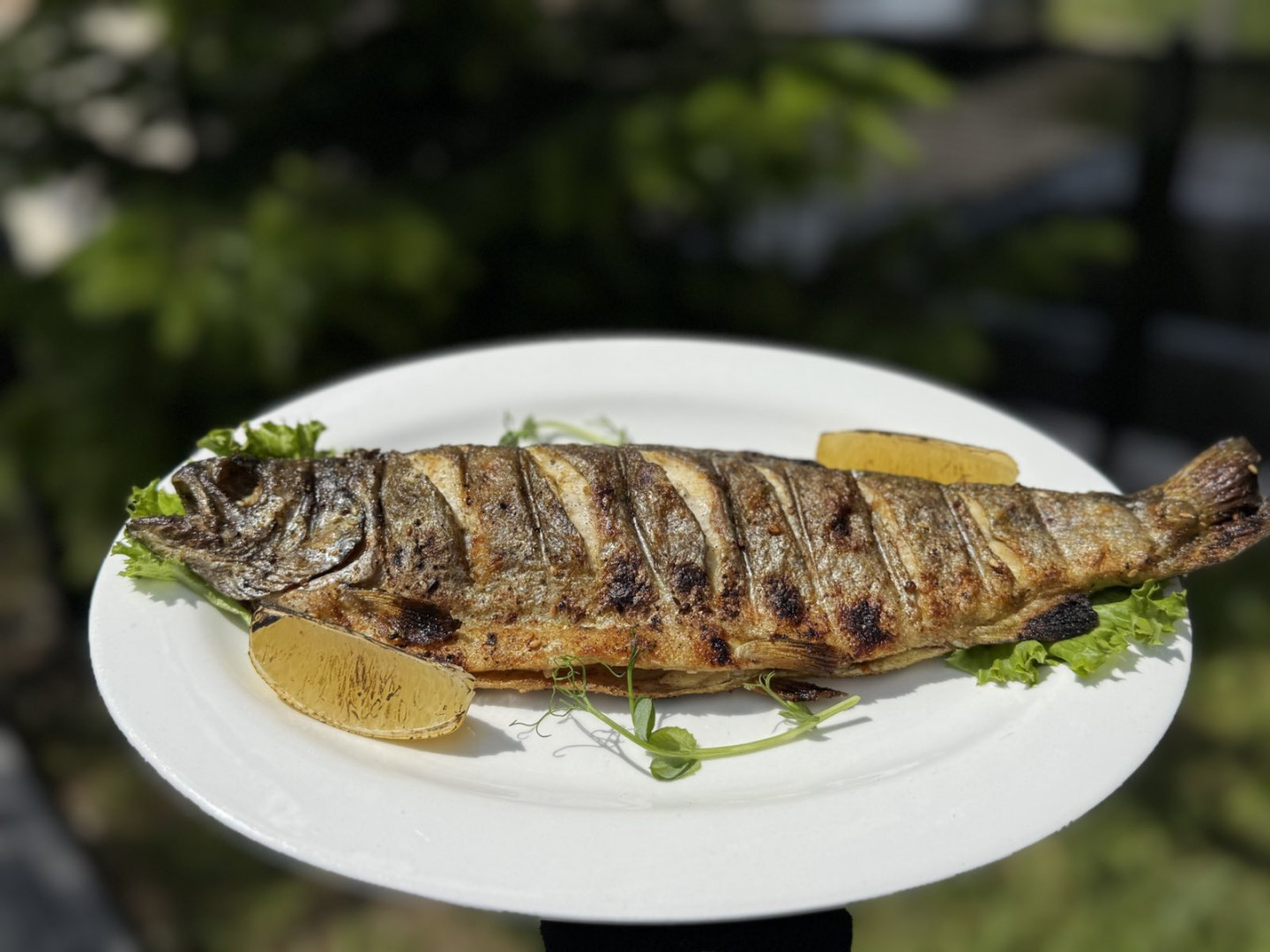 Koliba "Fun" image 7