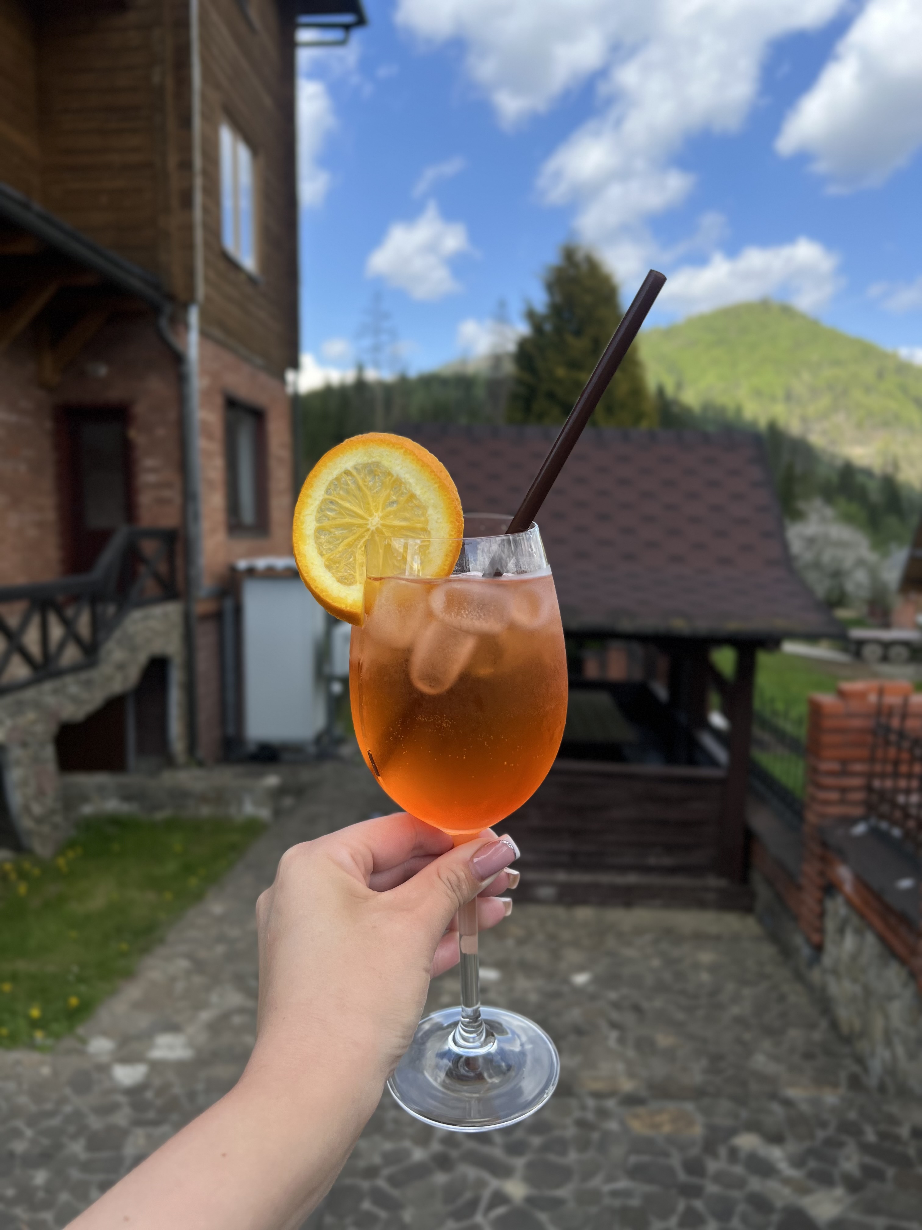 Kolyba "Smerekova Khata" image 4