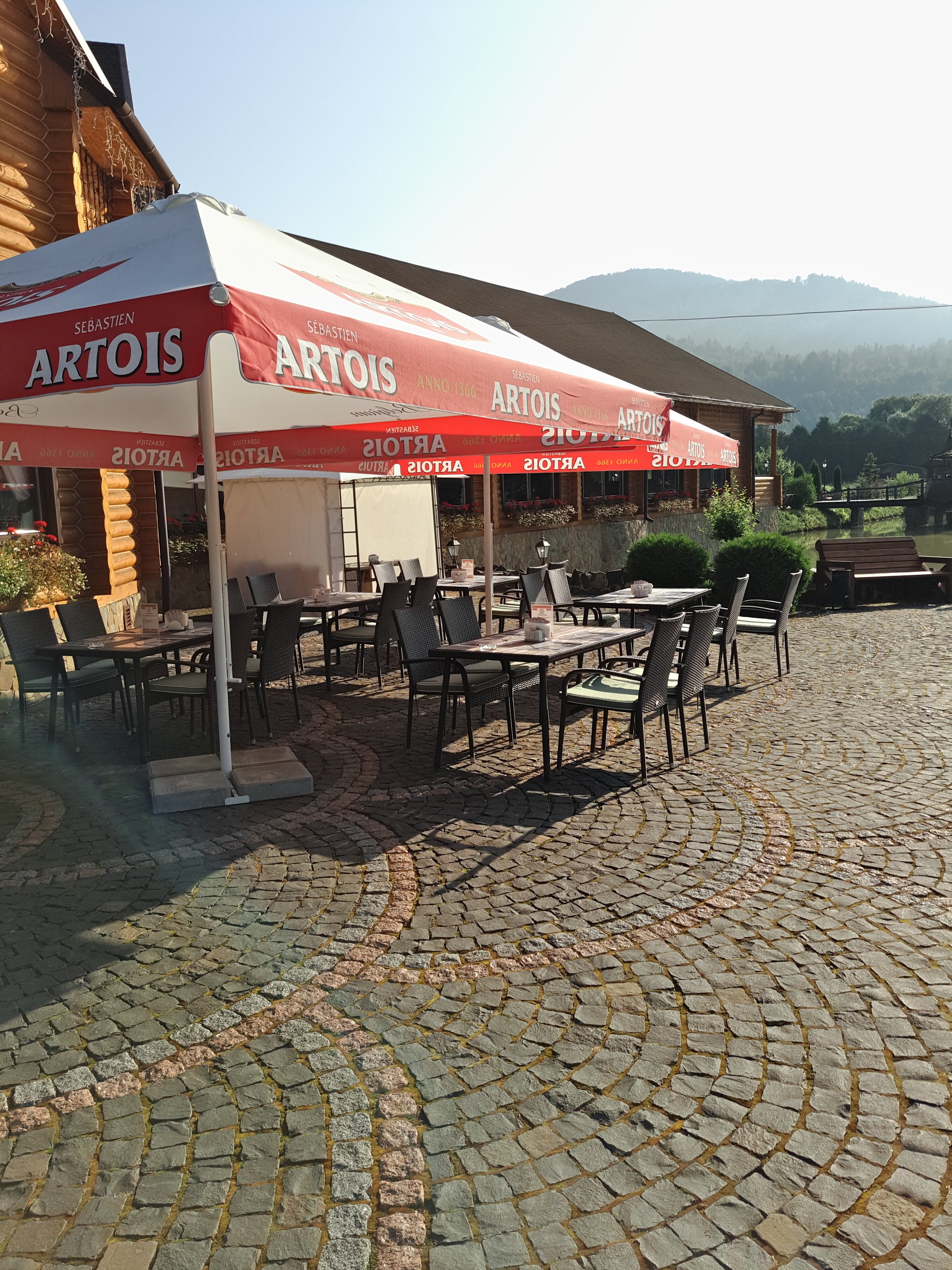 Golden Trout image 1