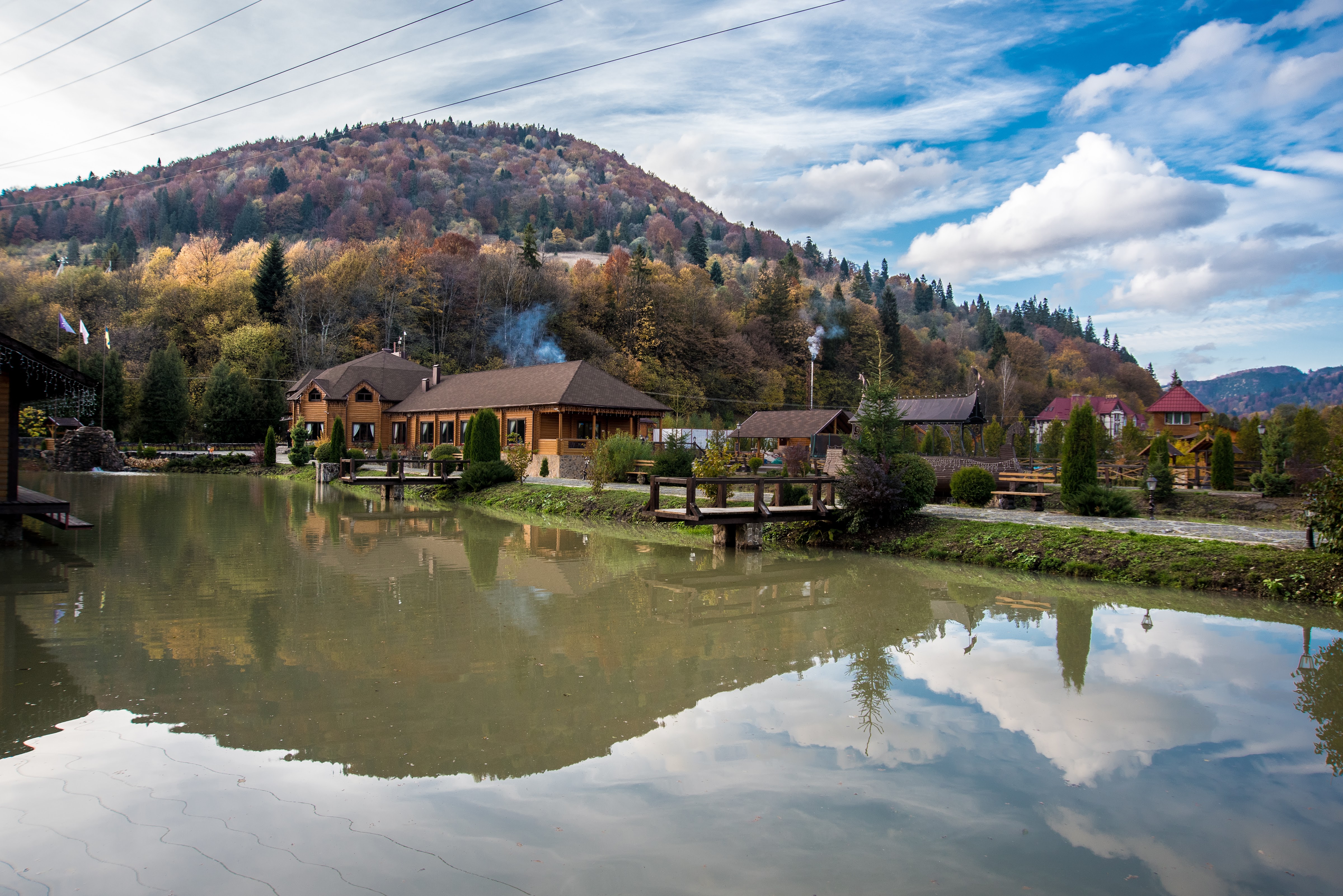 Golden Trout image 3