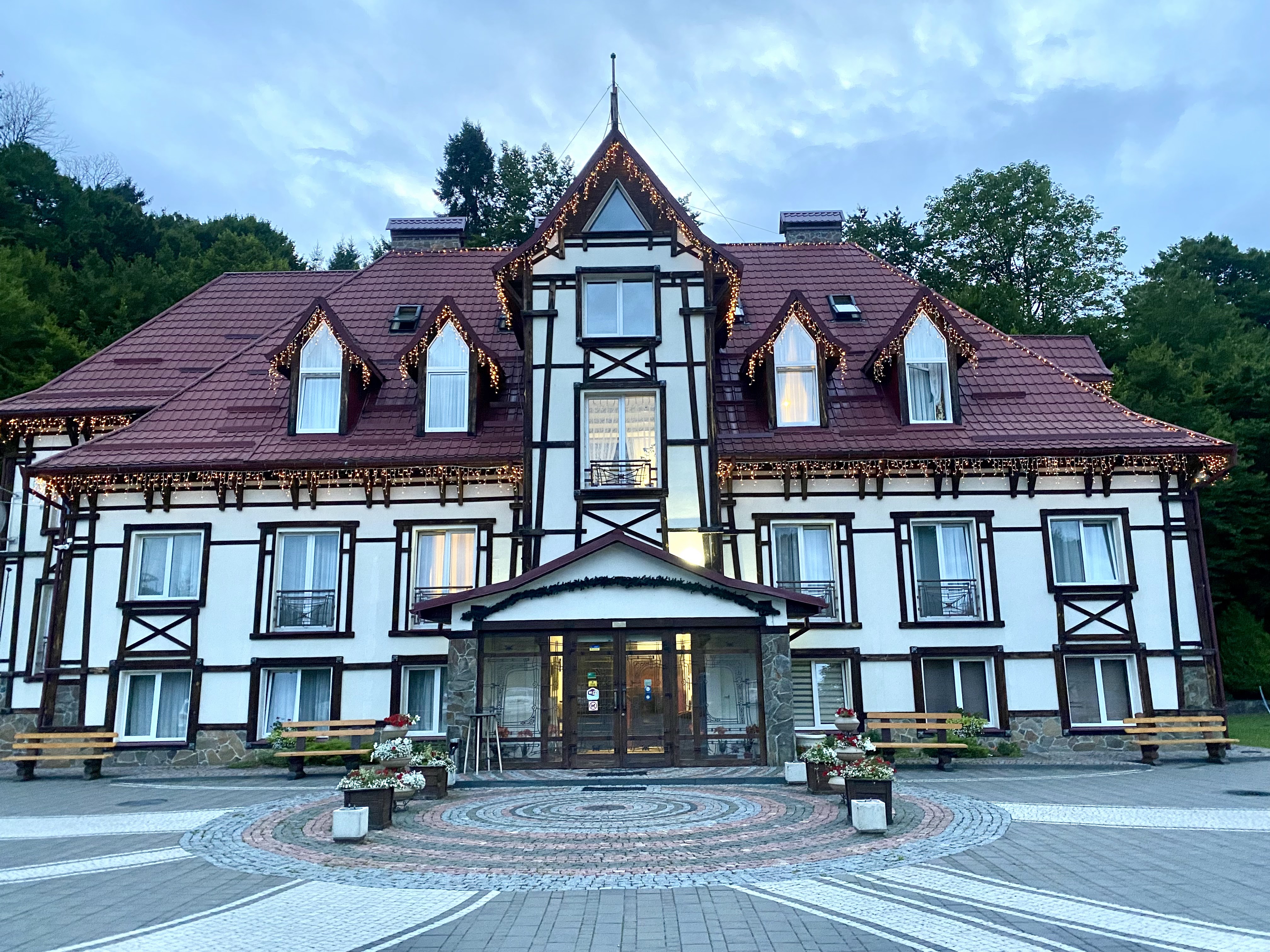 Golden Trout image 5