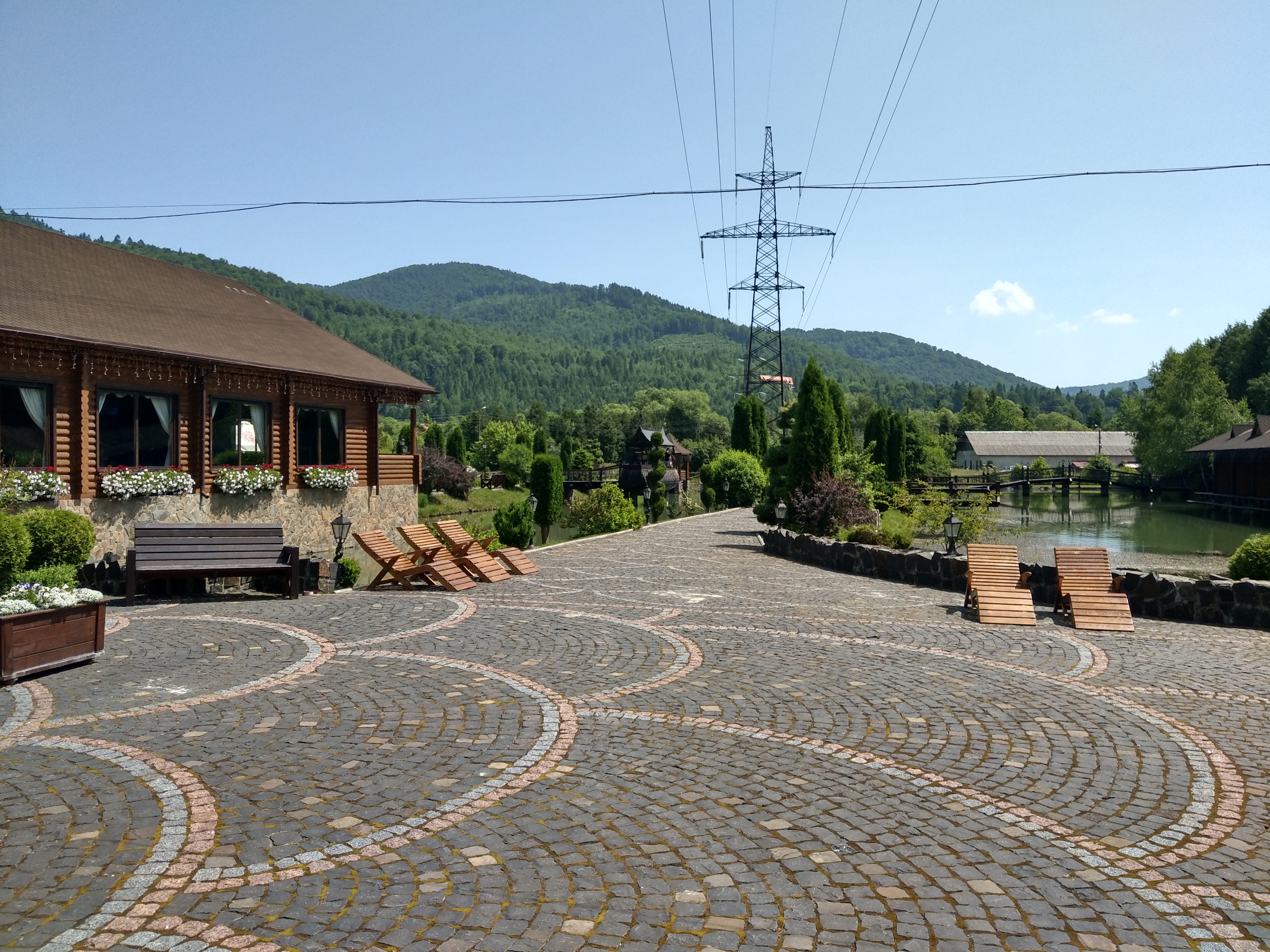 Golden Trout image 7