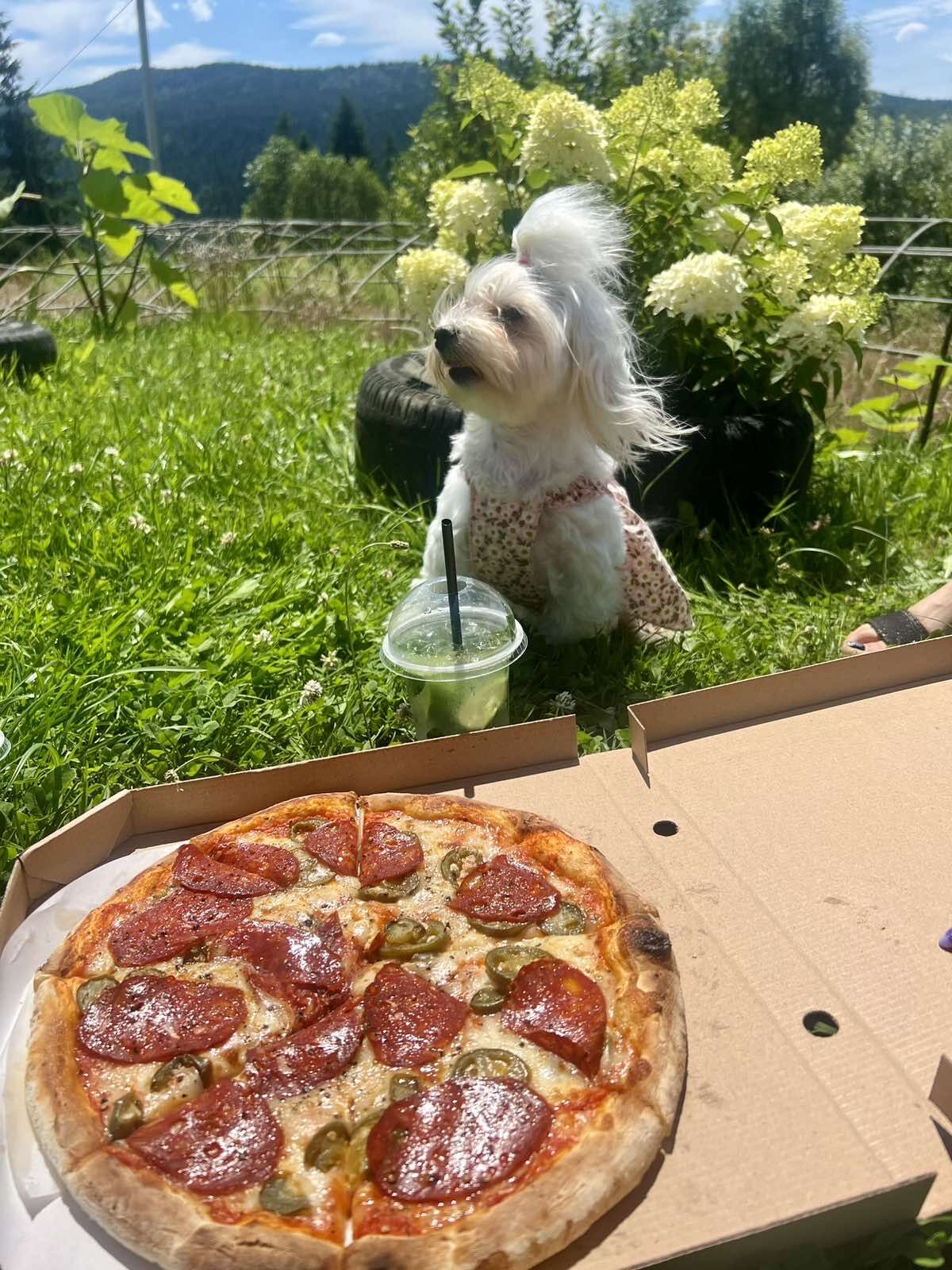 Panetteria Bakery&Pizza на дровах image 10