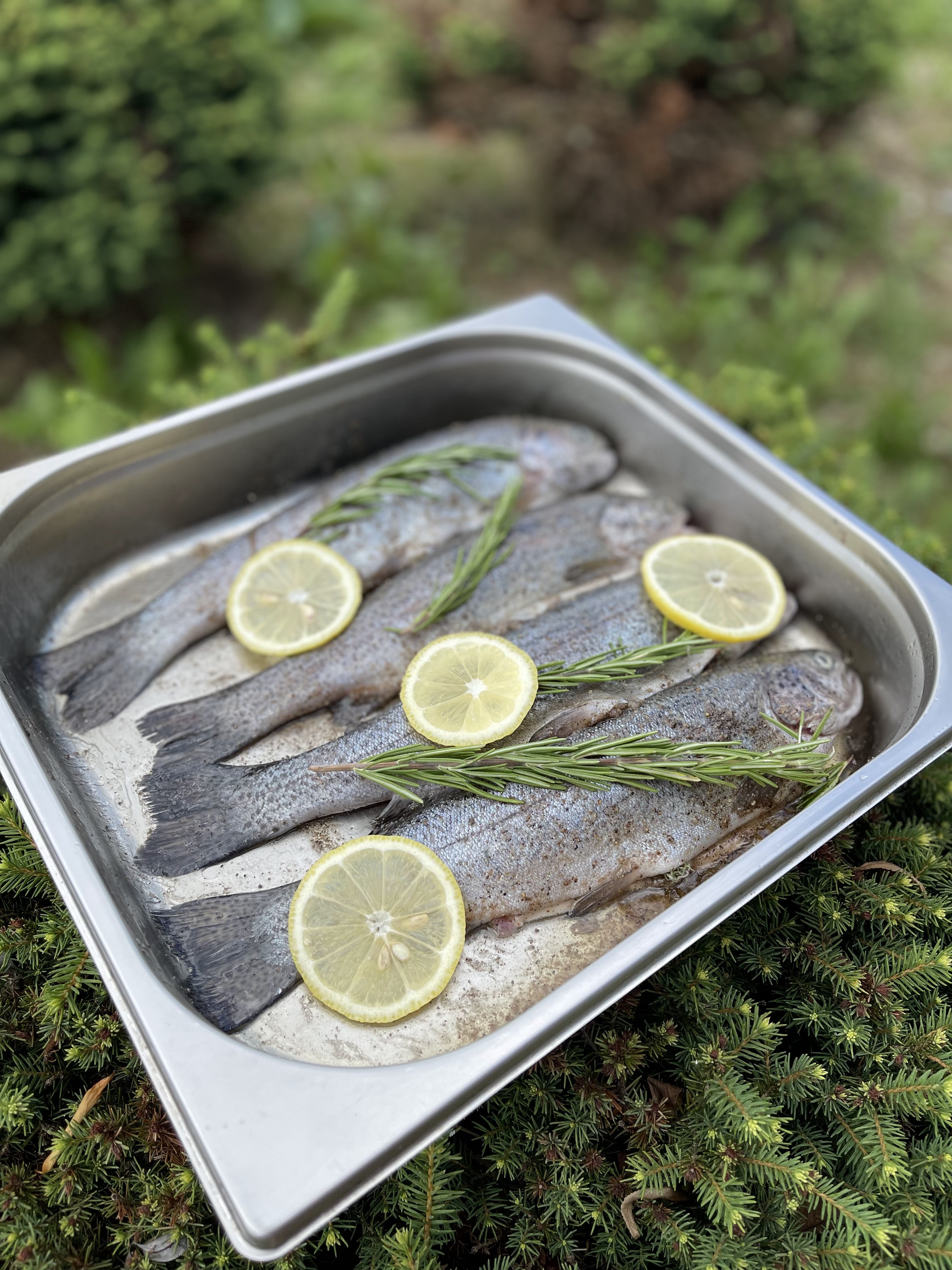 Sytyy Lytsar image 2