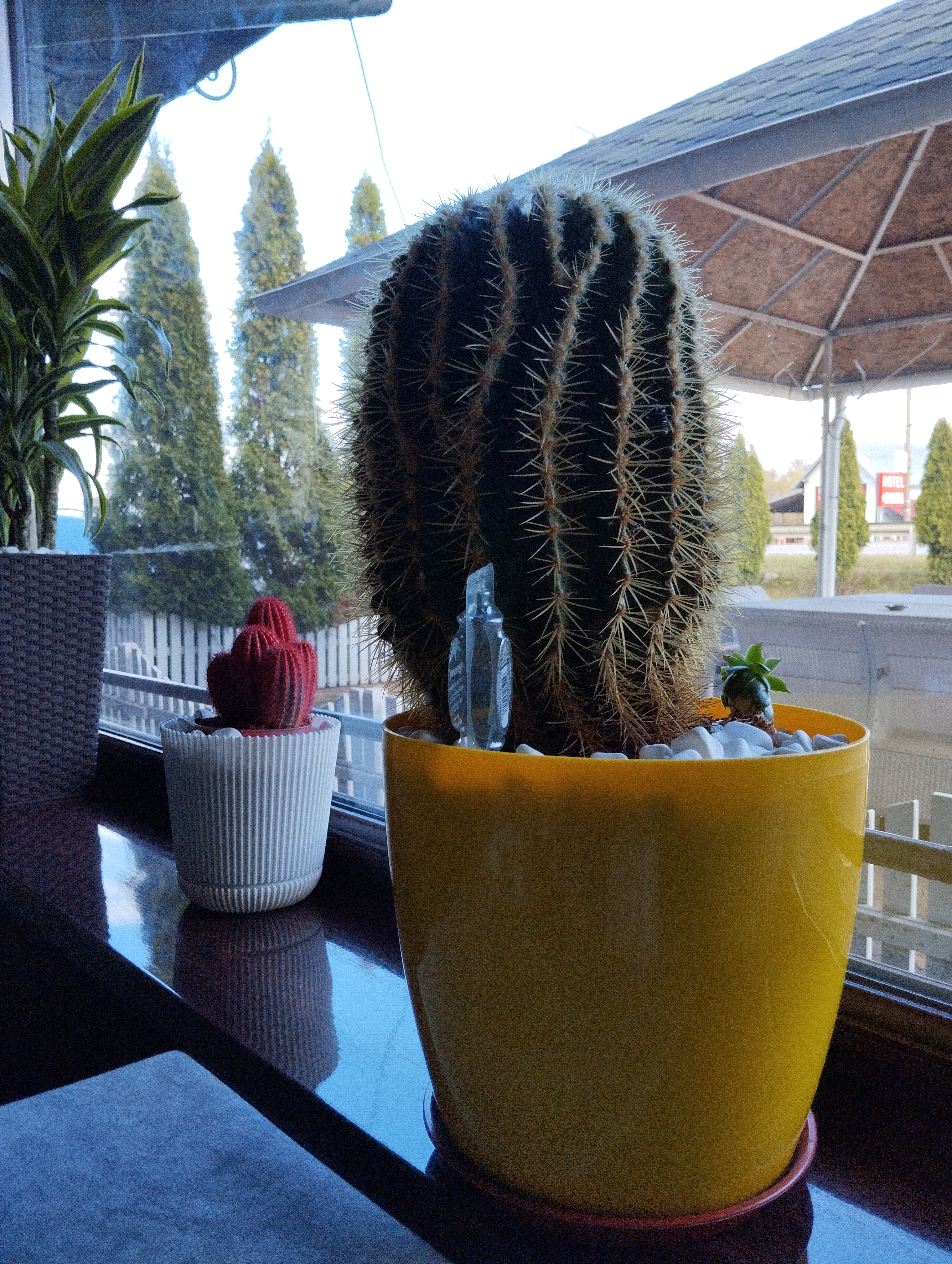 Sauna "Andrei" image 7