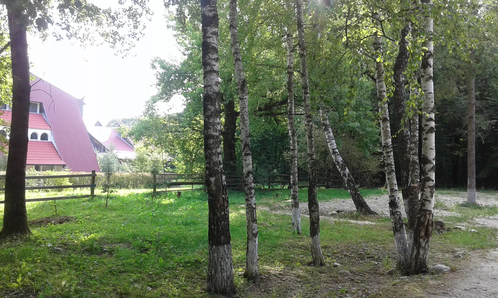 Dubrivka image 6