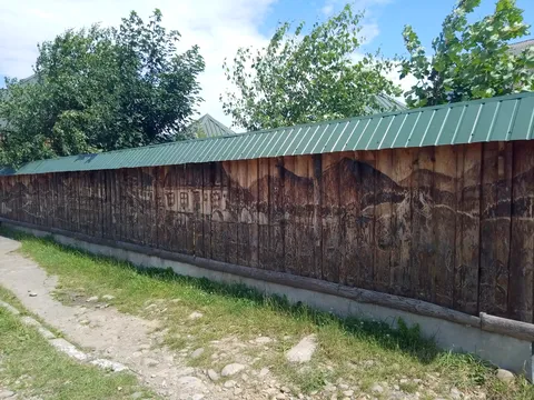 Hostynnyy Dvir Kalyna image 5