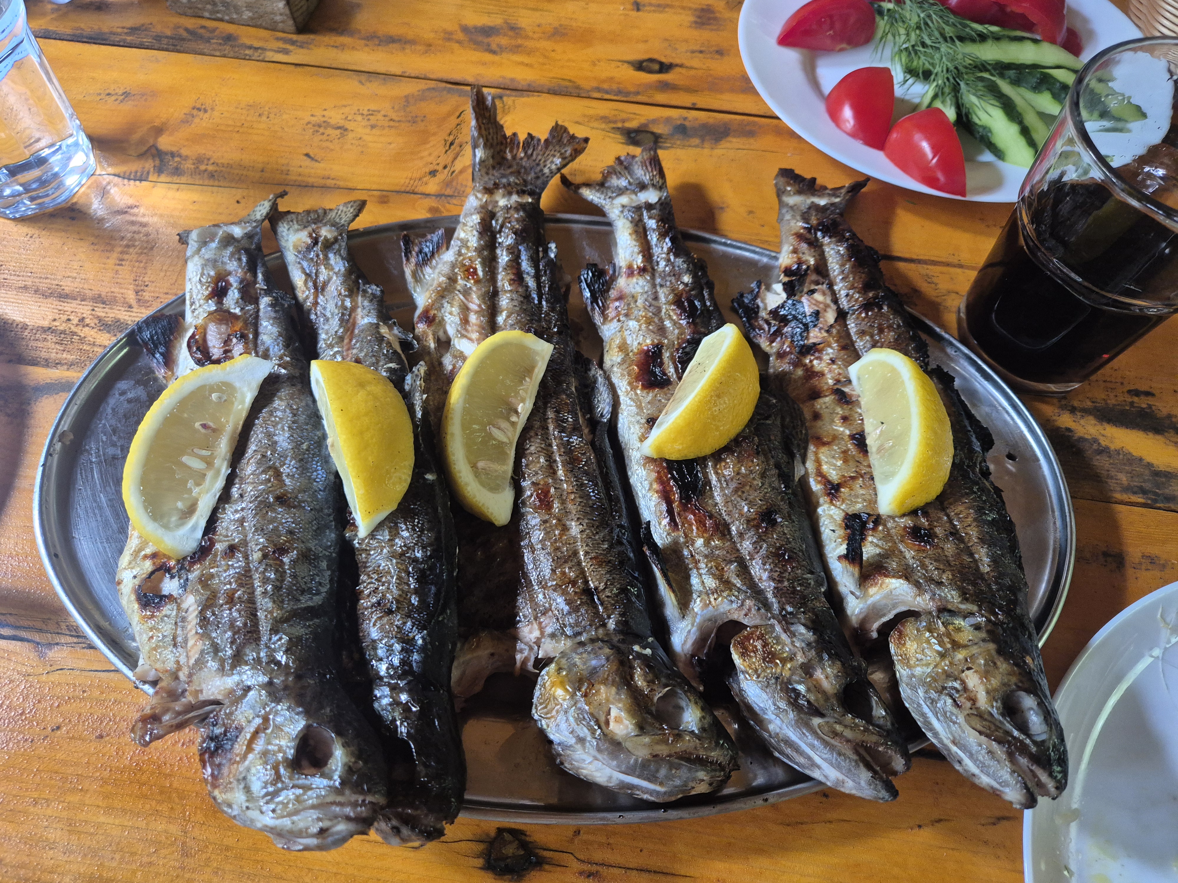 Rybalka Opaka image 6