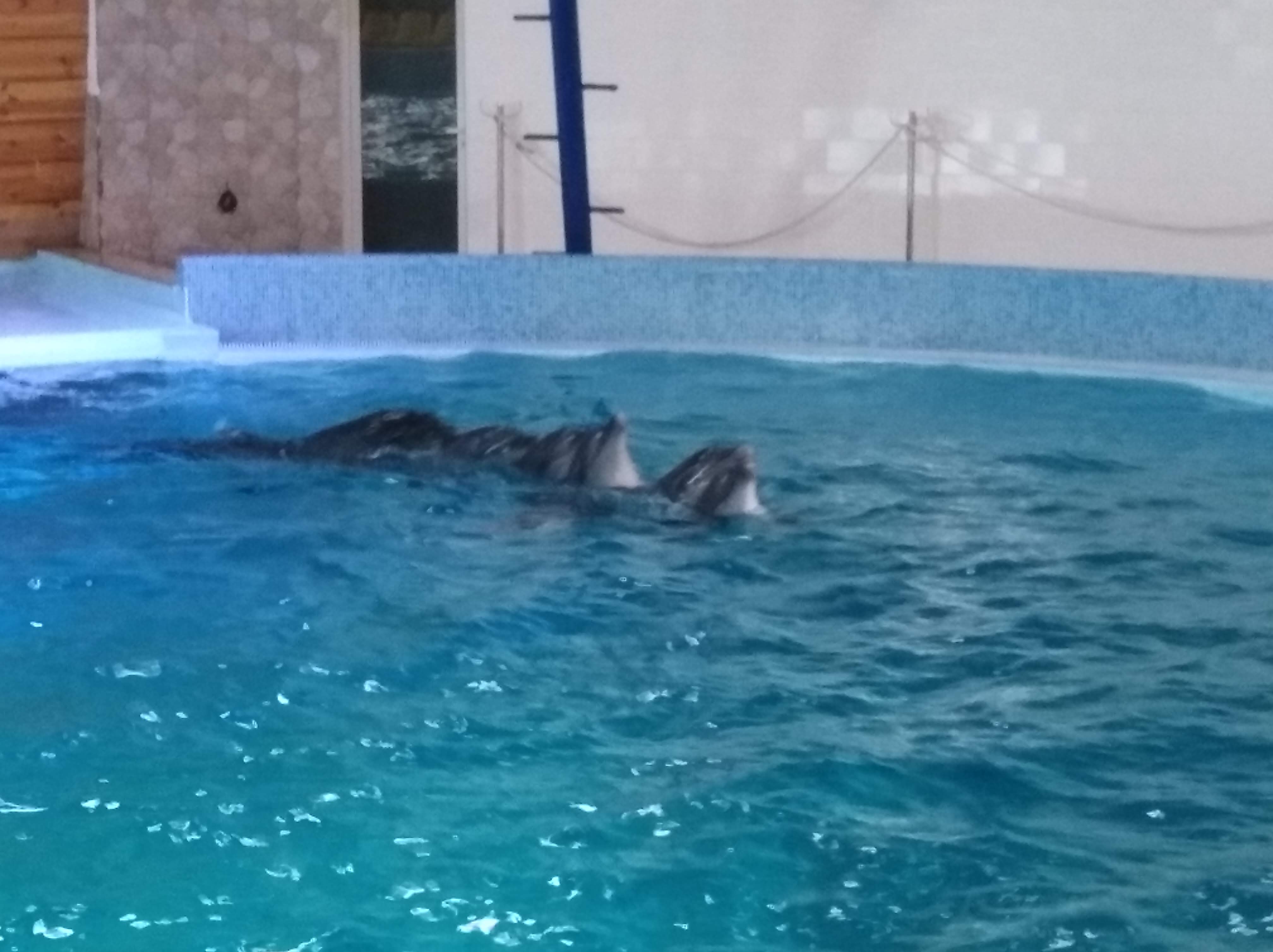 Burger Club image 10