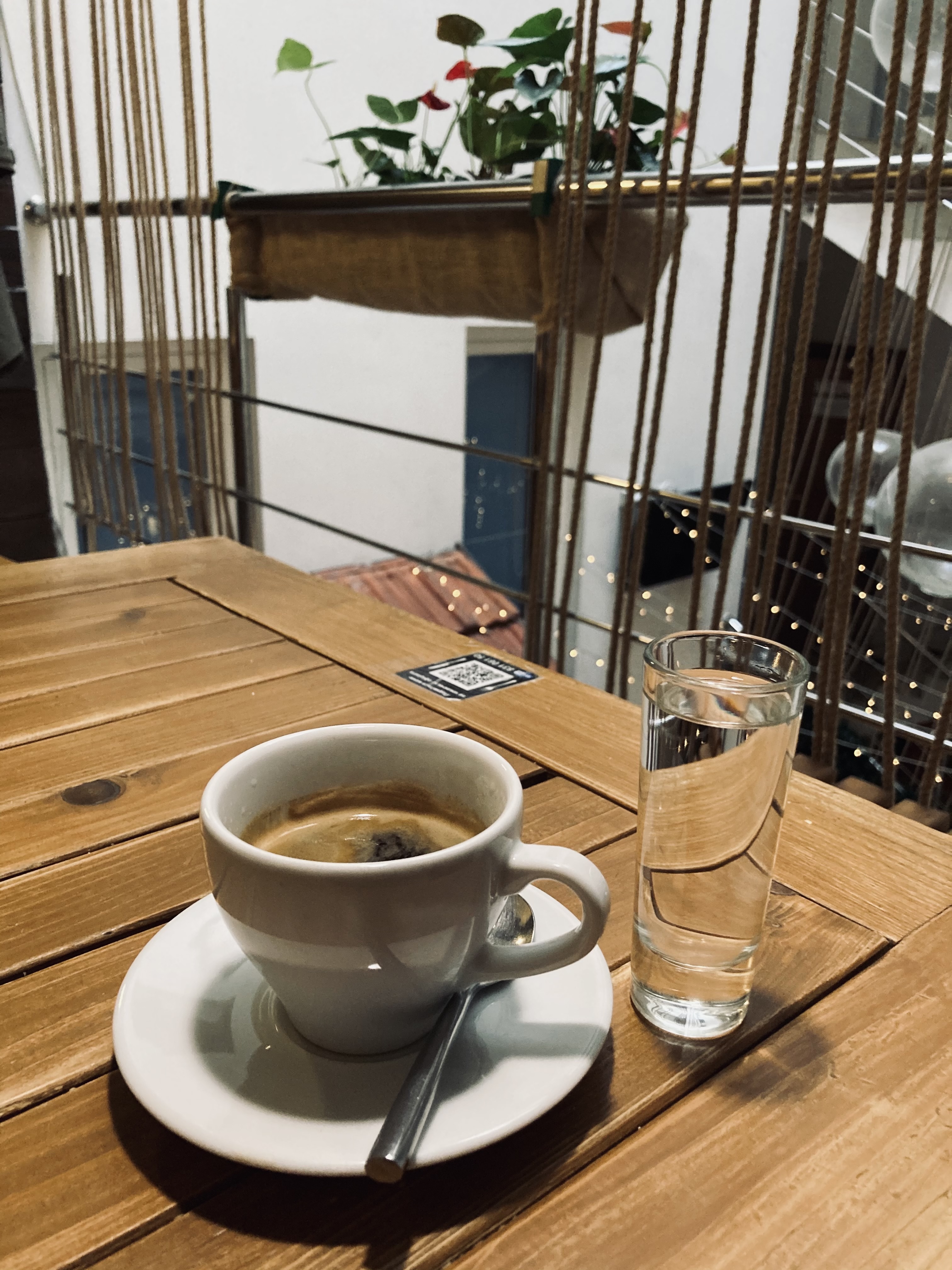 JARDIN Espanol image 6