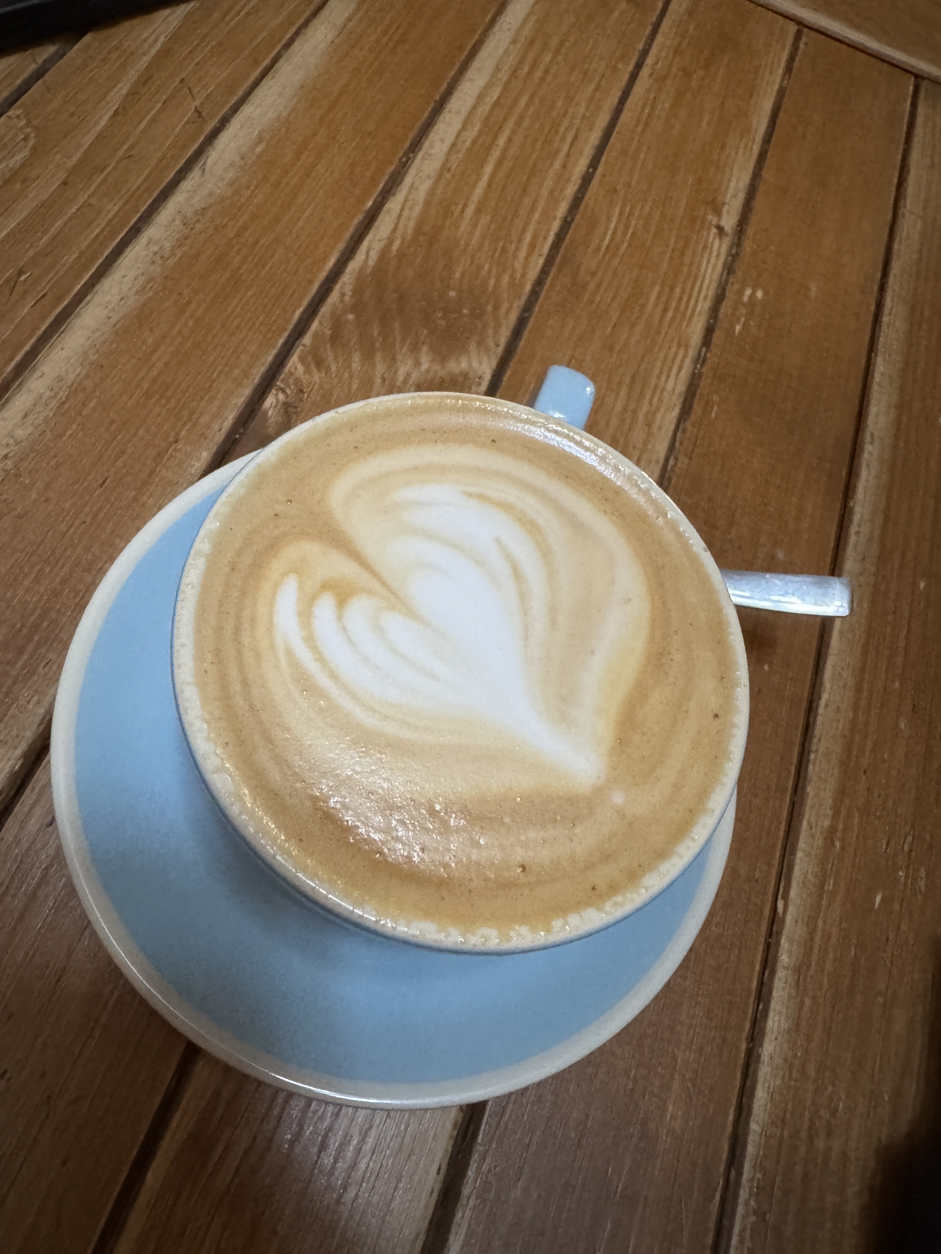 JARDIN Espanol image 7