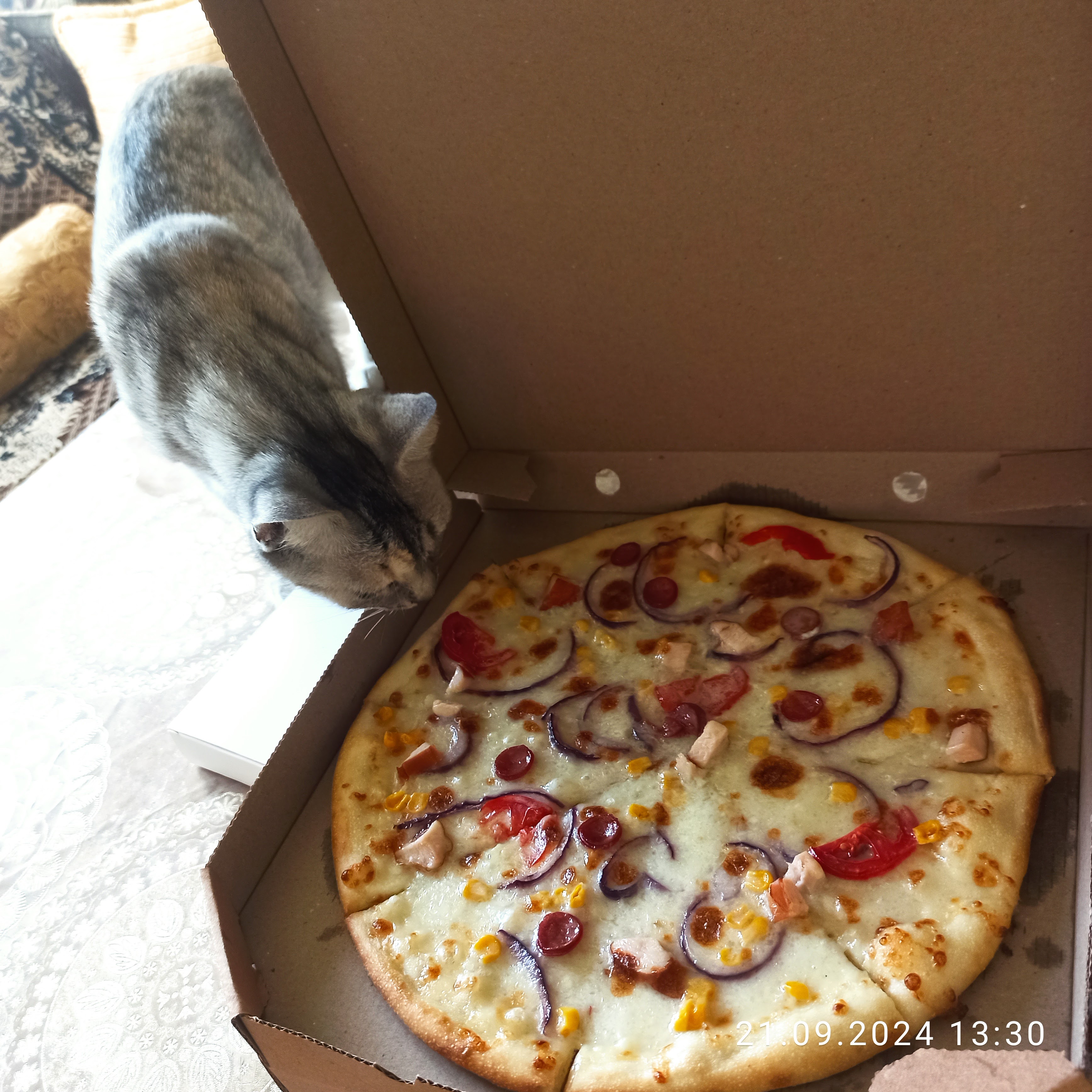 Domino Pizza & Burger image 3