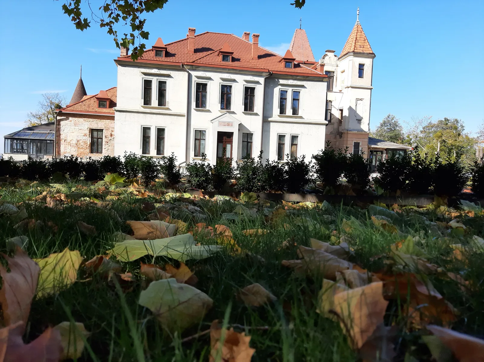 Pidhoretsʹkyy Mayetok image 6