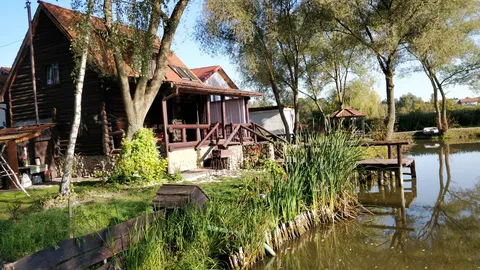 Syanya image 6
