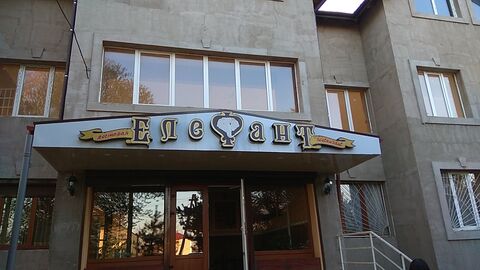"Elefant" image 1