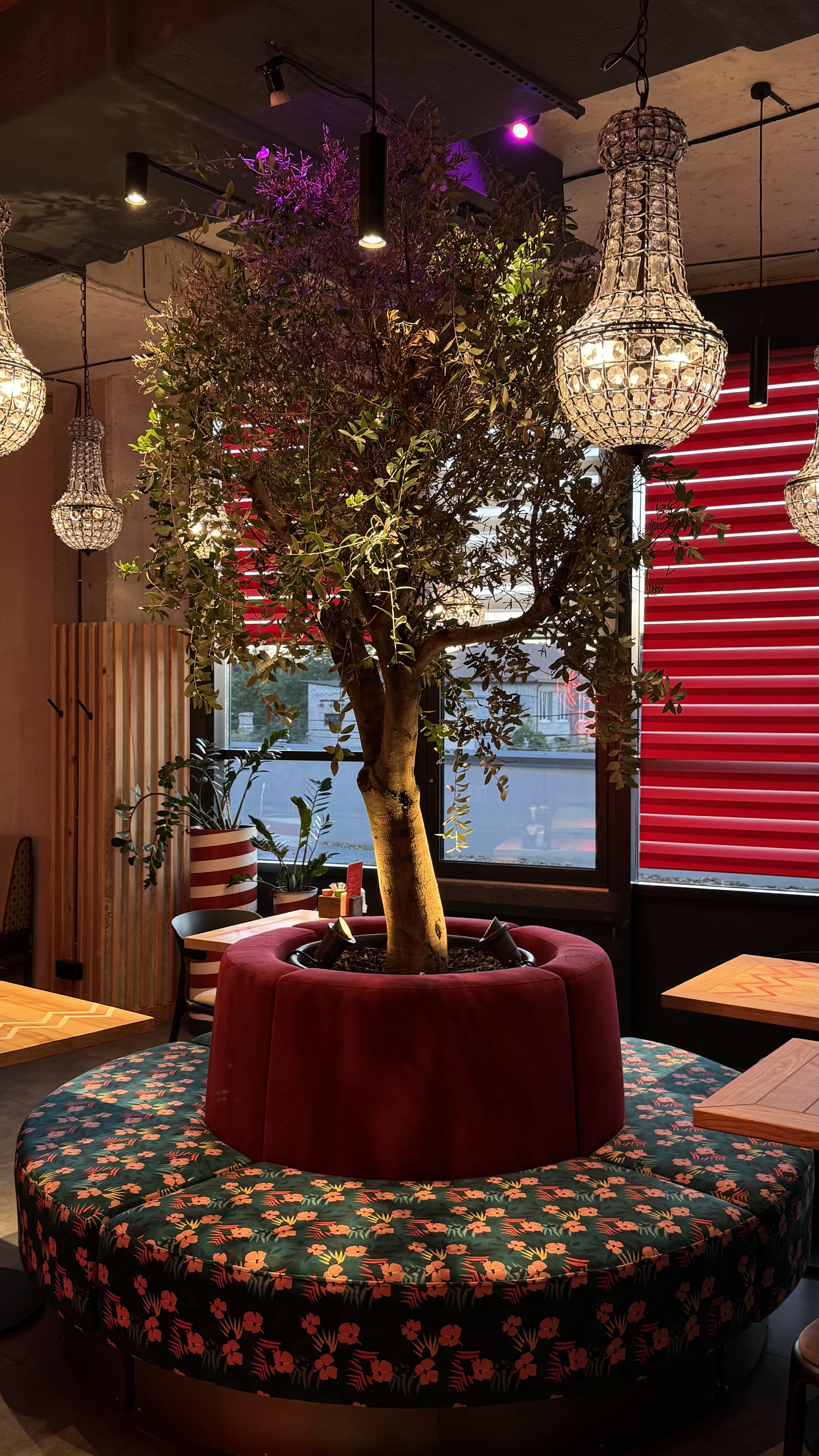 Pizza Celentano Ristorante & ЯПІ image 3