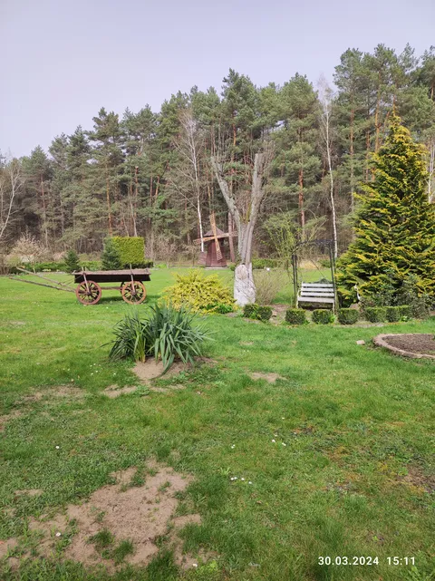 Restoran "Kohuty" Lʹvivsʹka Obl.ukrayina image 6