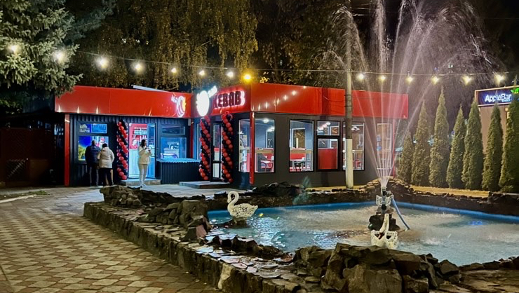 Turkish Kebab image 3