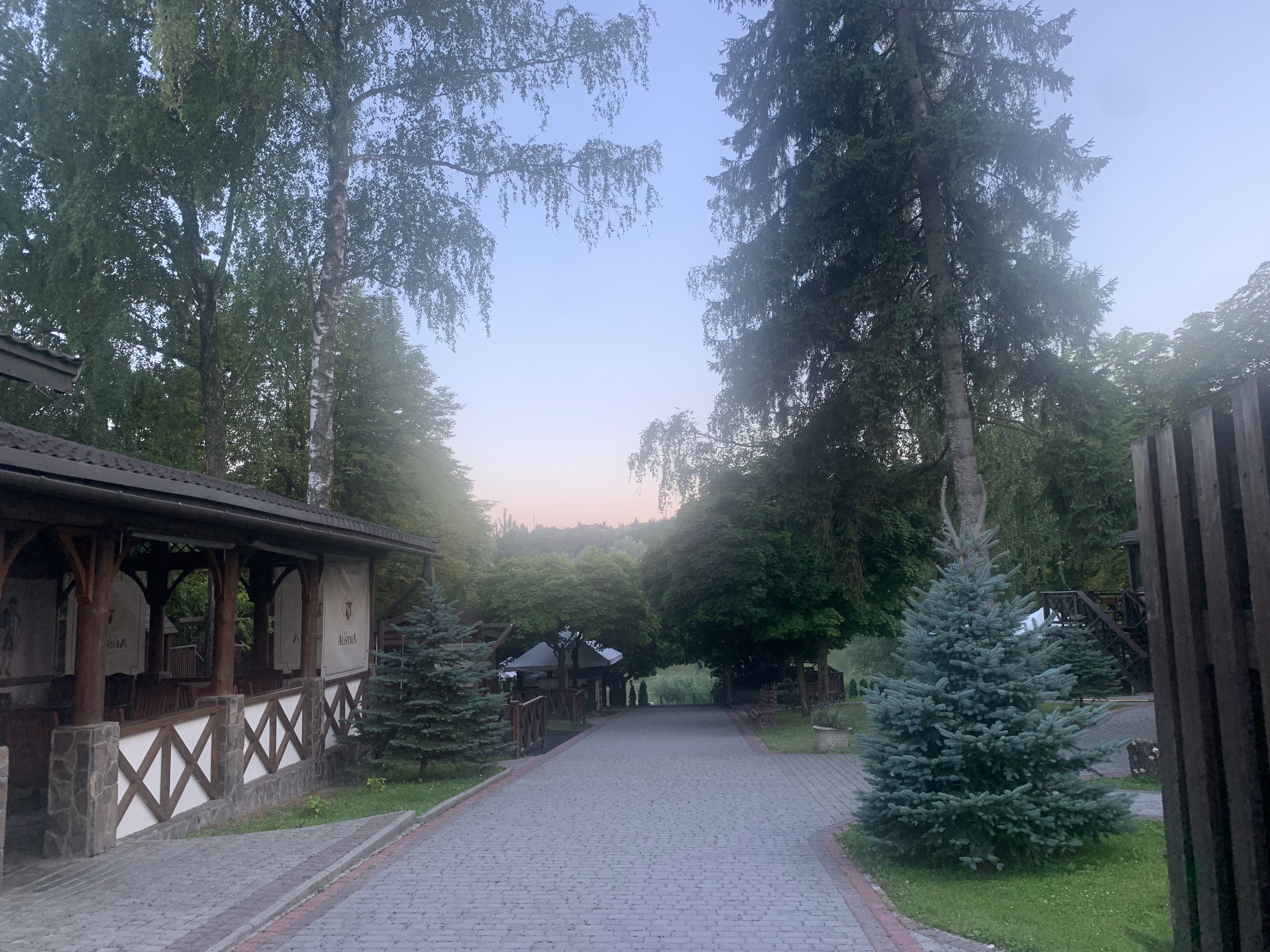 Villa Austria image 9