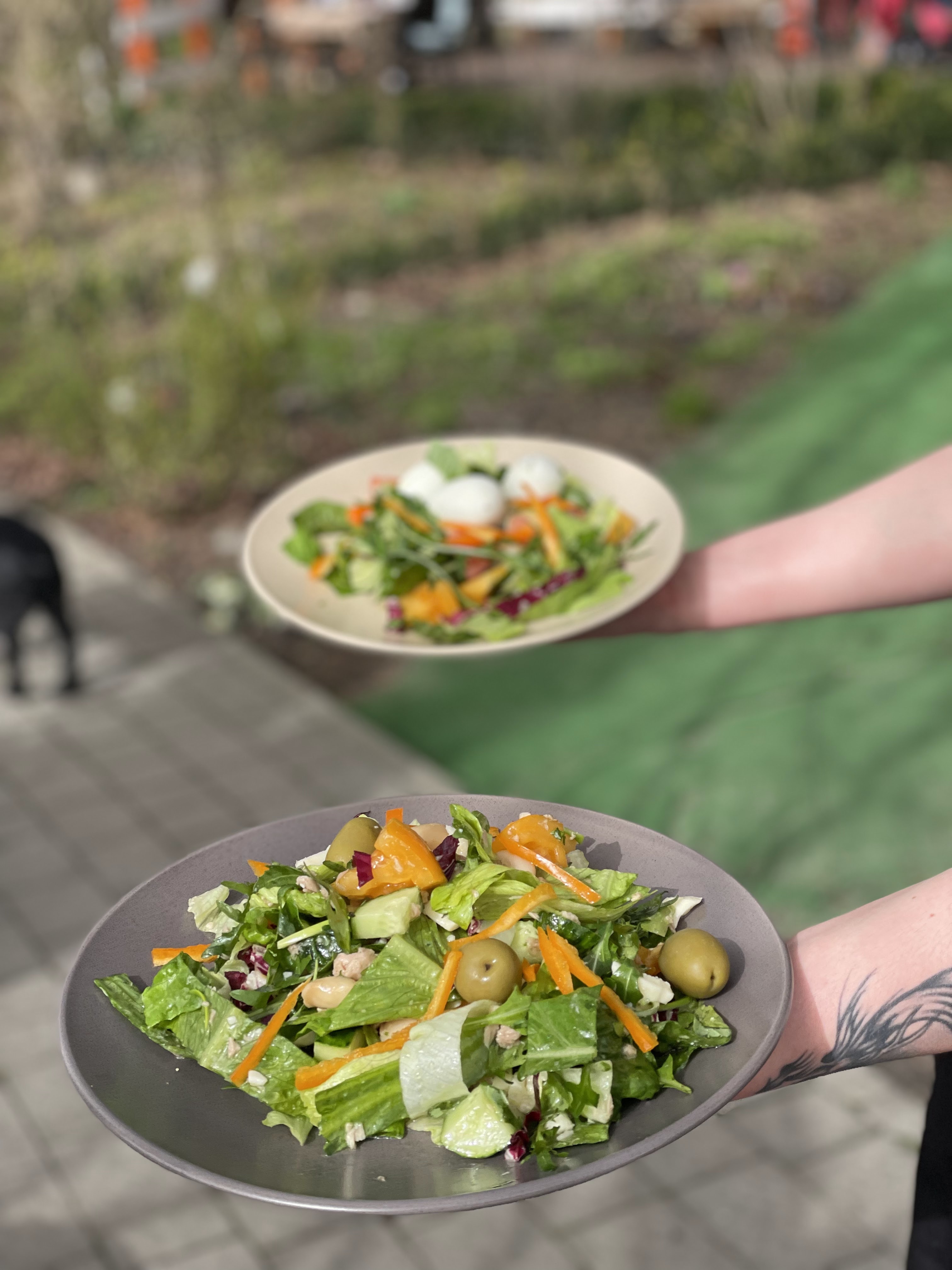 Остерія ''Osteria'' -піцерія «Pizzeria” image 2