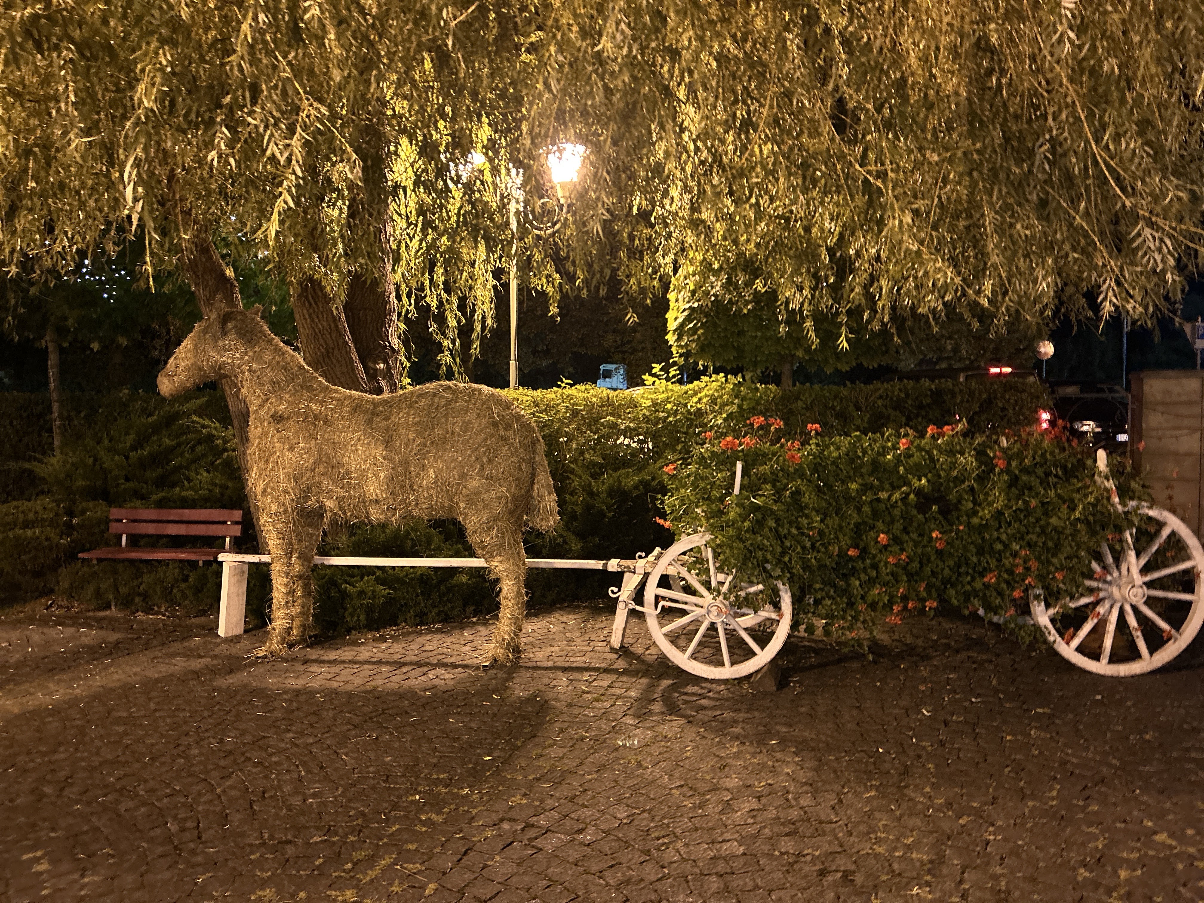 Голодний Микола image 9