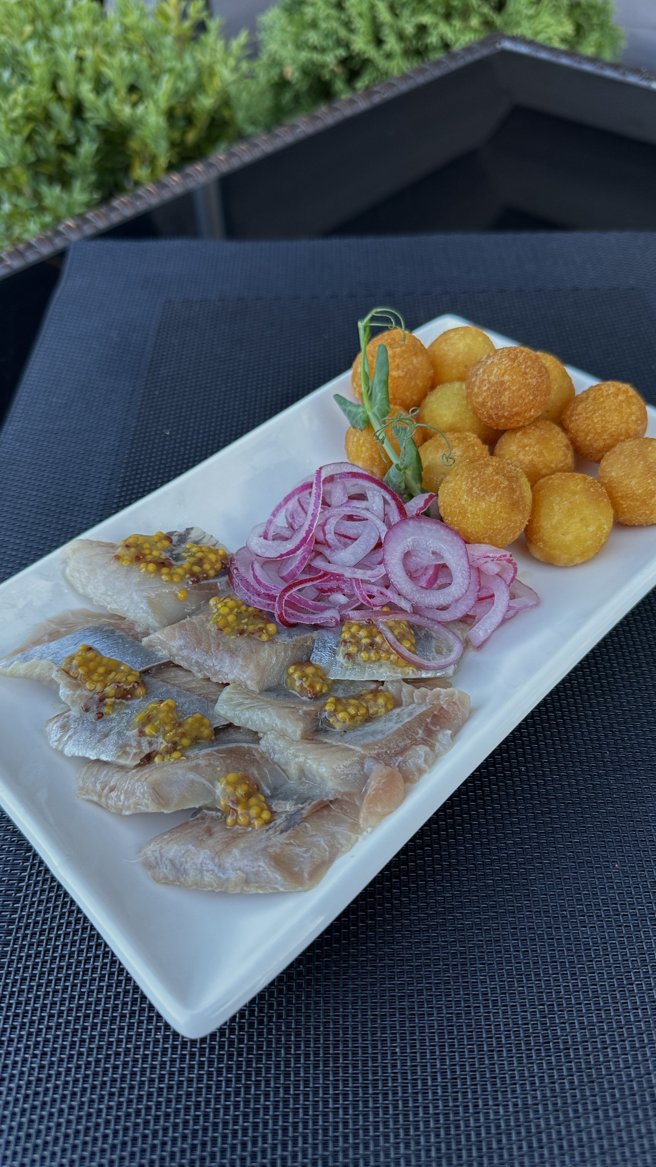 Sykhivsʹka Sadyba image 5