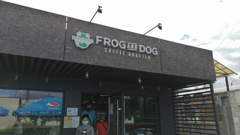 FROG AND DOG image 3