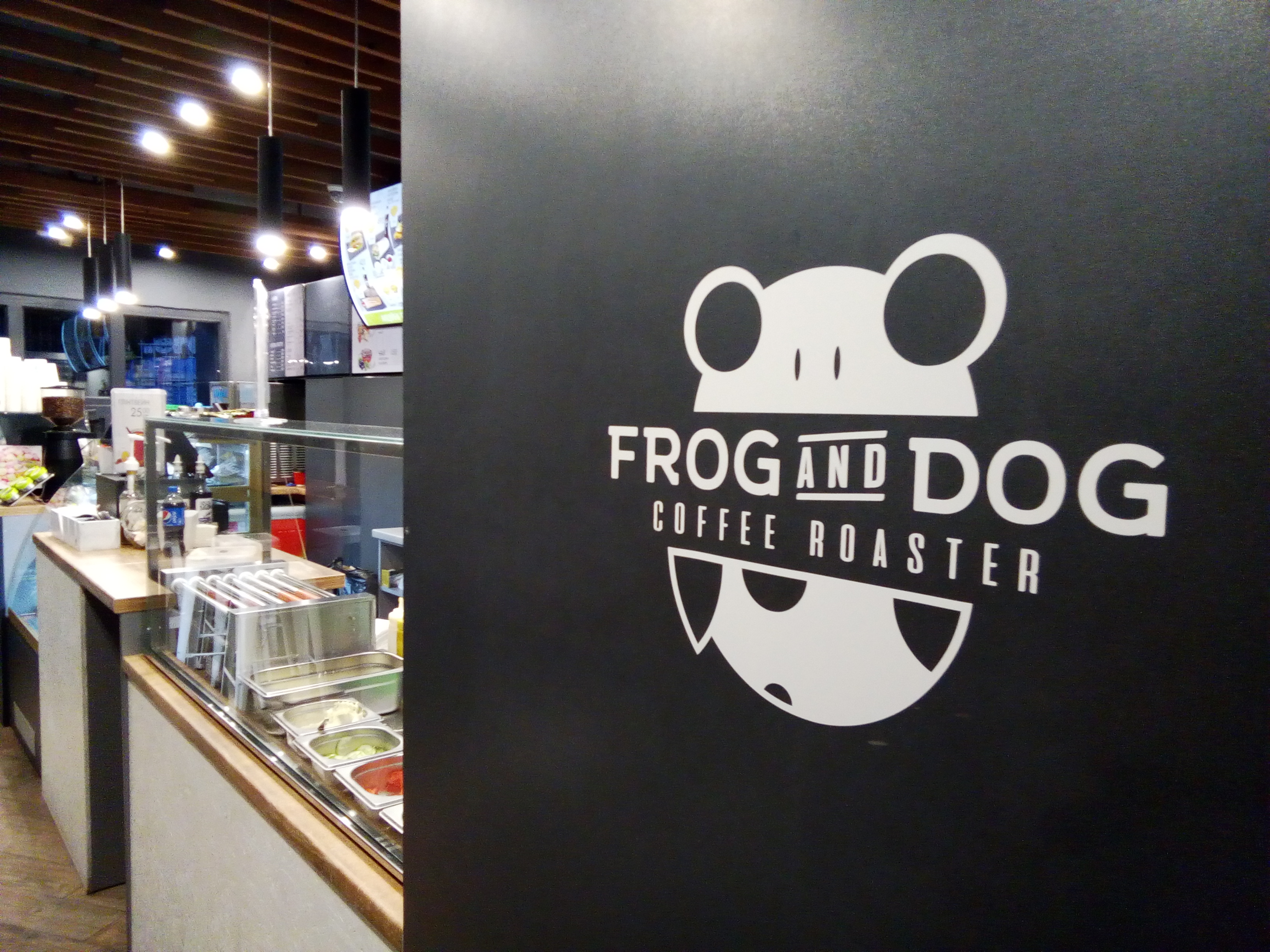 FROG AND DOG image 7